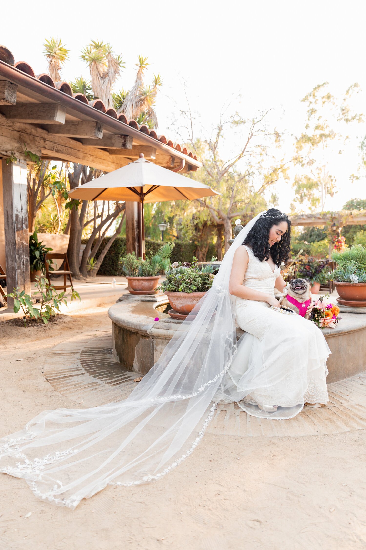 www.santabarbarawedding.com | SB Historical Museum | Veils &amp; Tails Photography | SB Wedding Coordinator | Grass Roots | Accessorize Your Pug | LunaBella Makeup &amp; Hair | Bride with Pug