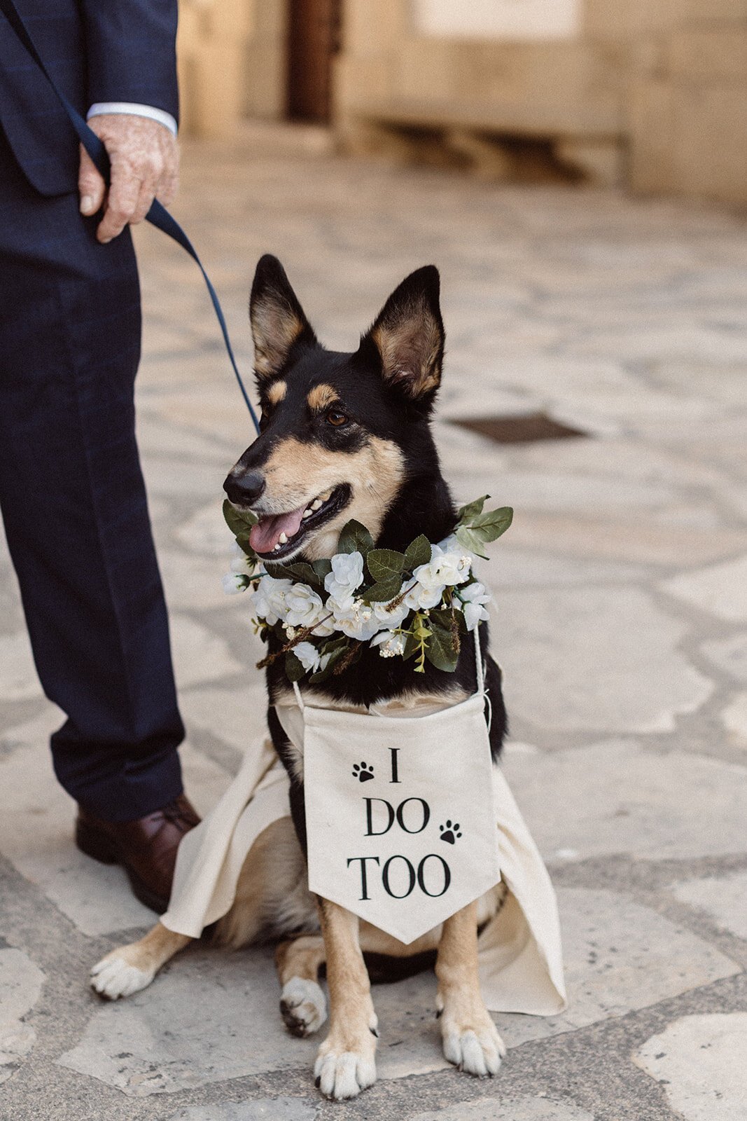 www.santabarbarawedding.com | Isabella Griffith Photography | Dog at Ceremony with ‘I Do Too’ Sign 