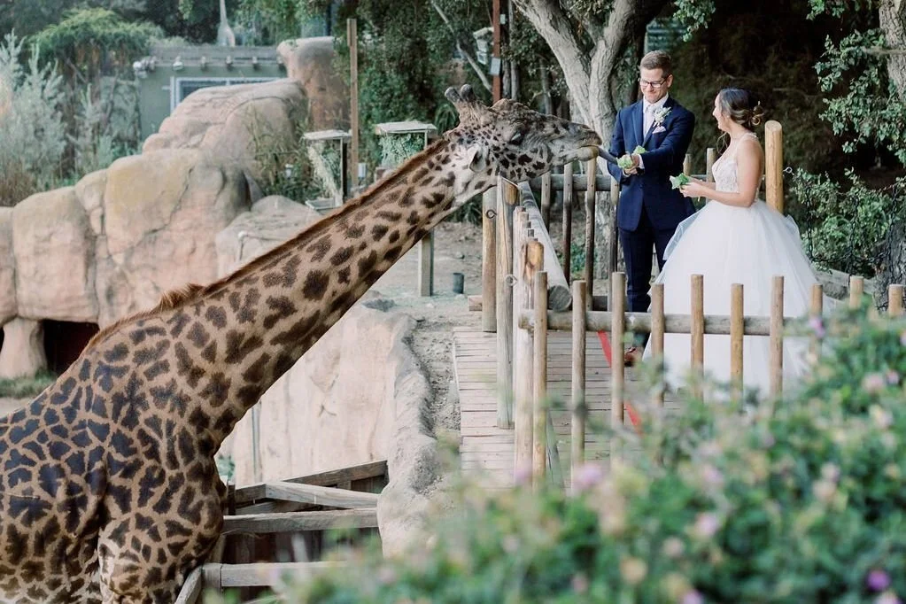 Wildly Elegant Santa Barbara Zoo Wedding