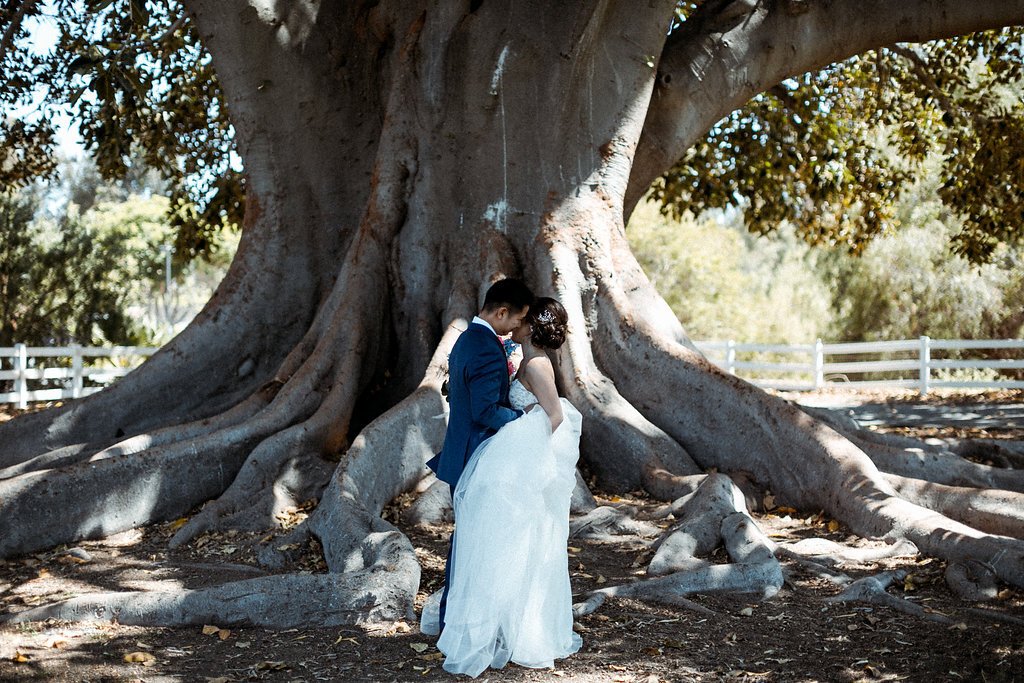 www.santabarbarawedding.com | Abi Q Photography | Camarillo Ranch | White Blossom | Unique Floral Designs | Kelly Zhang | Bride and Groom in Front of the Tree