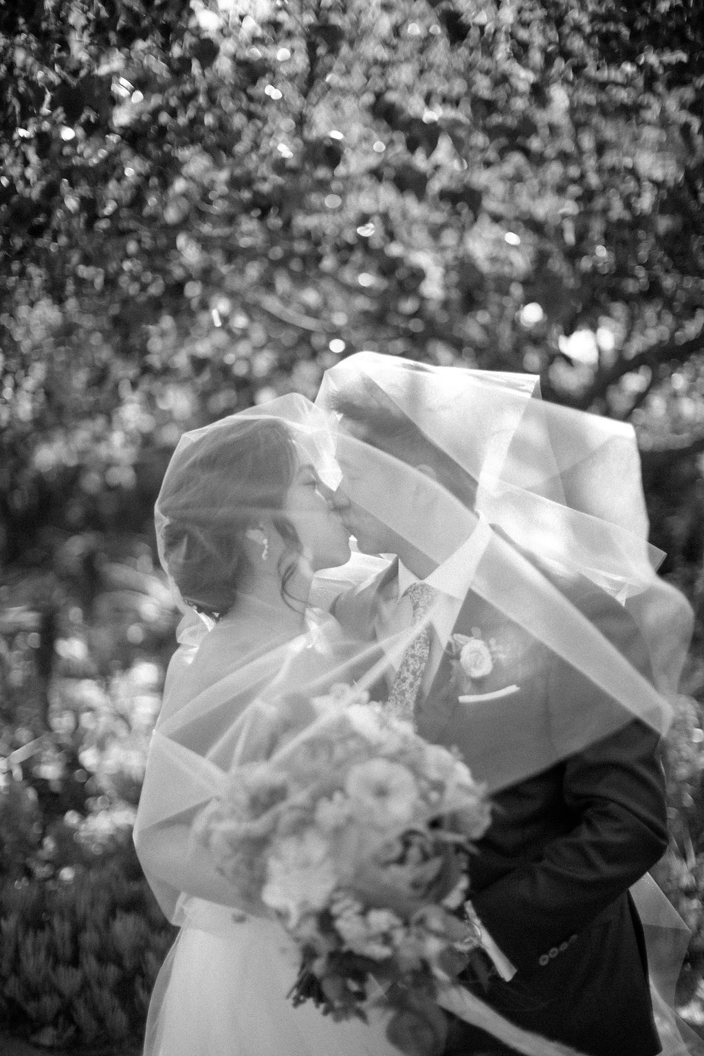 www.santabarbarawedding.com | Abi Q Photography | Camarillo Ranch | White Blossom | Unique Floral Designs | Kelly Zhang | Bride and Groom Kiss Under the Veil