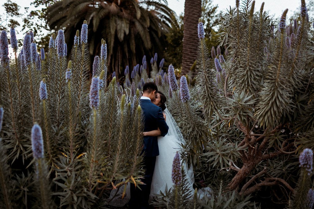 www.santabarbarawedding.com | Abi Q Photography | Camarillo Ranch | White Blossom | Unique Floral Designs | Kelly Zhang | Bride and Groom Kiss Among the Plants and Purple Flowers