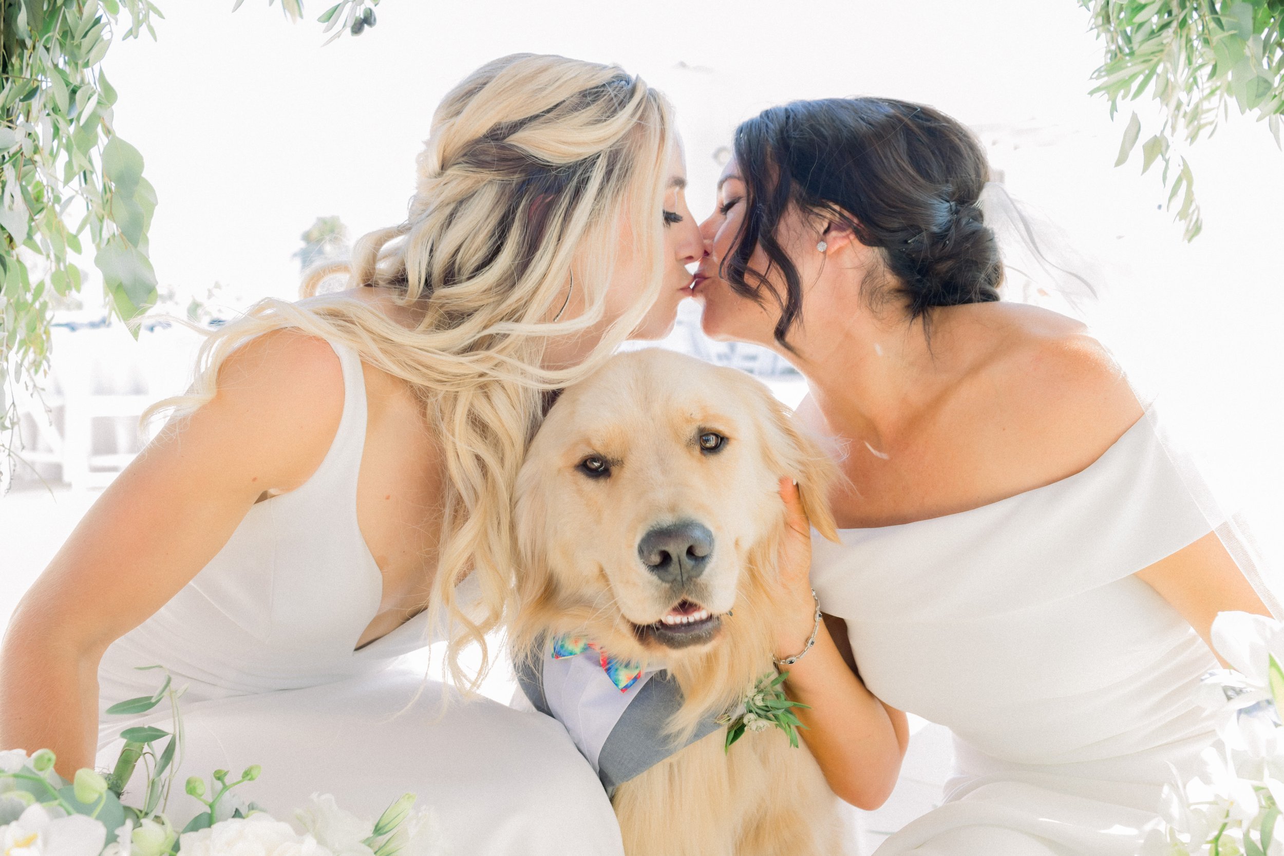 www.santabarbarawedding.com | James &amp; Jess | MOXI | Ann Johnson Events | Ventura Rentals | Islay Events | Brides Kissing with Their Golden Retriever After the Ceremony