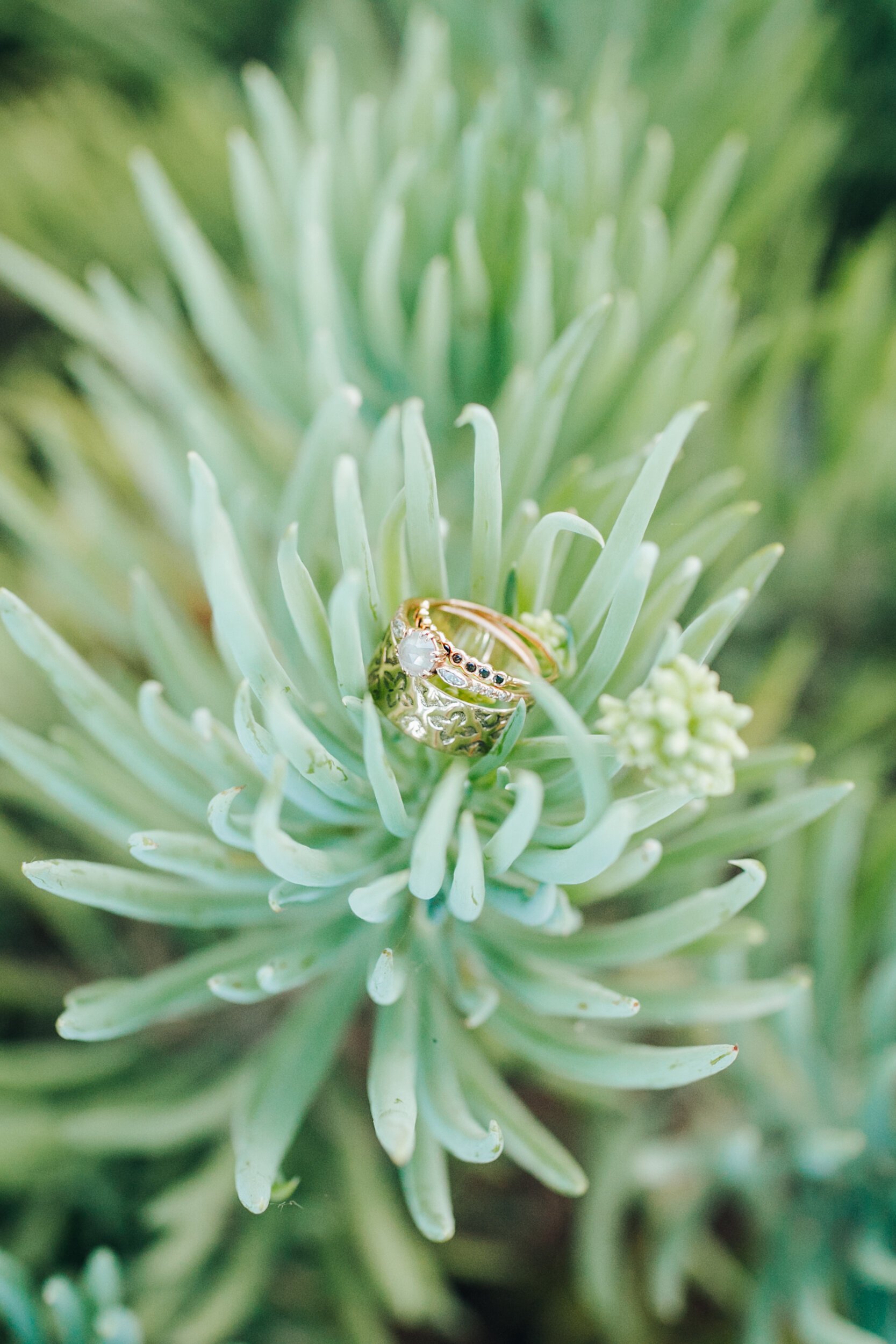 www.santabarbarawedding.com | Elli Lauren Weddings | Dos Pueblos Orchid Farm | Rebekah Xiques | Wedding Rings