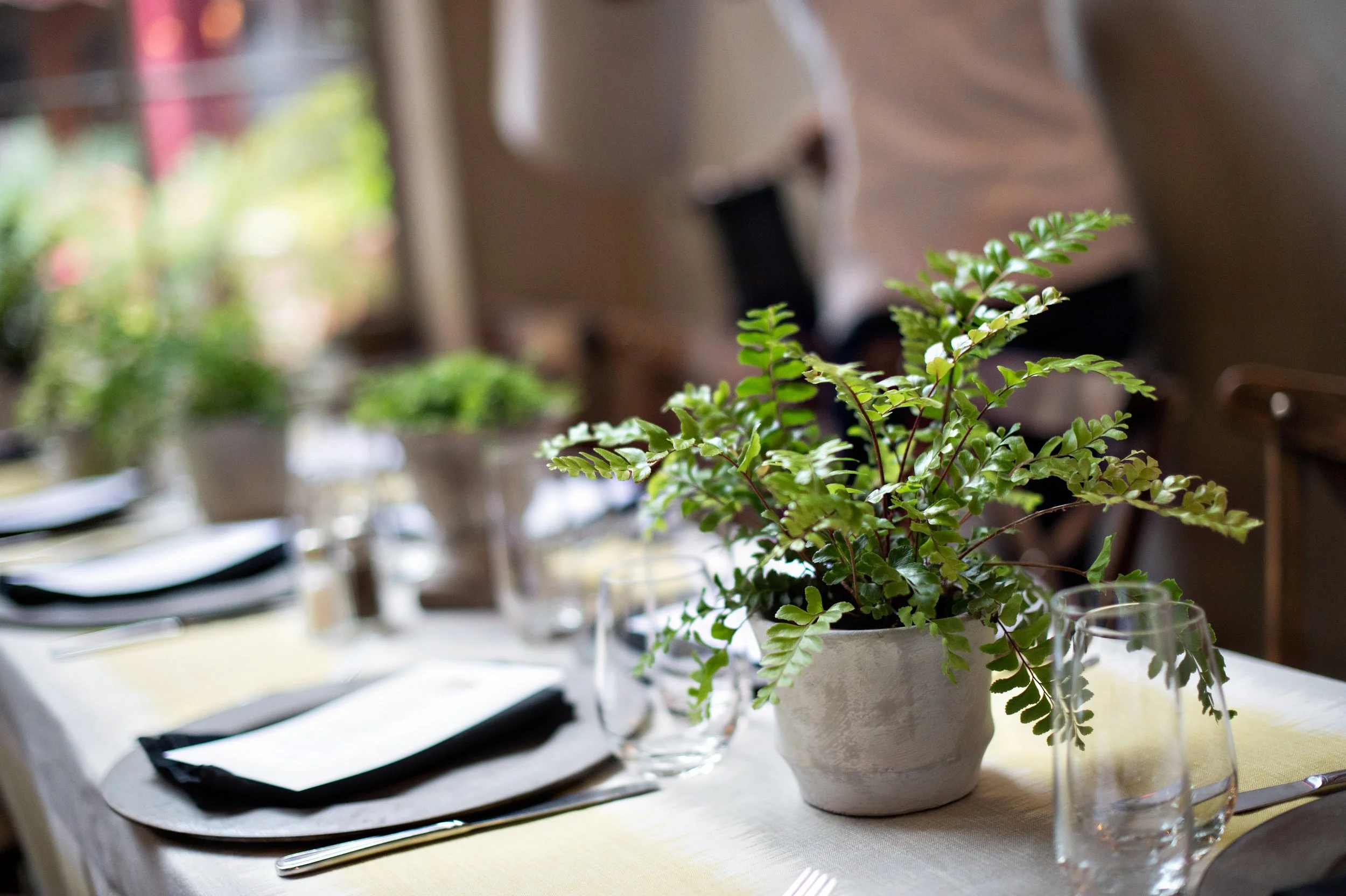 www.SantaBarbaraWeddingStyle | State & Fig Restaurant | Santa Barbara Wedding Location | Rehearsal Dinner | Brunch | Laurie Bailey Photography