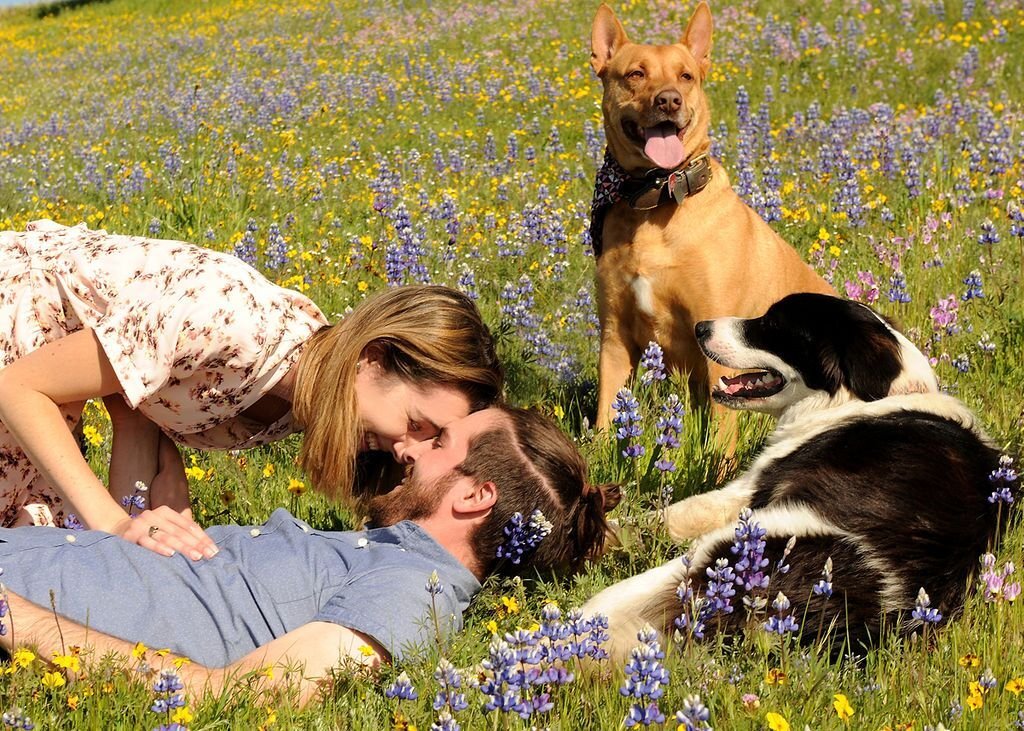 www.santabarbarawedding.com | Kieth Munyan Photography | Fess Parker Winery | Couple’s Engagement Shoot in a Flower Field with Their Two Dogs