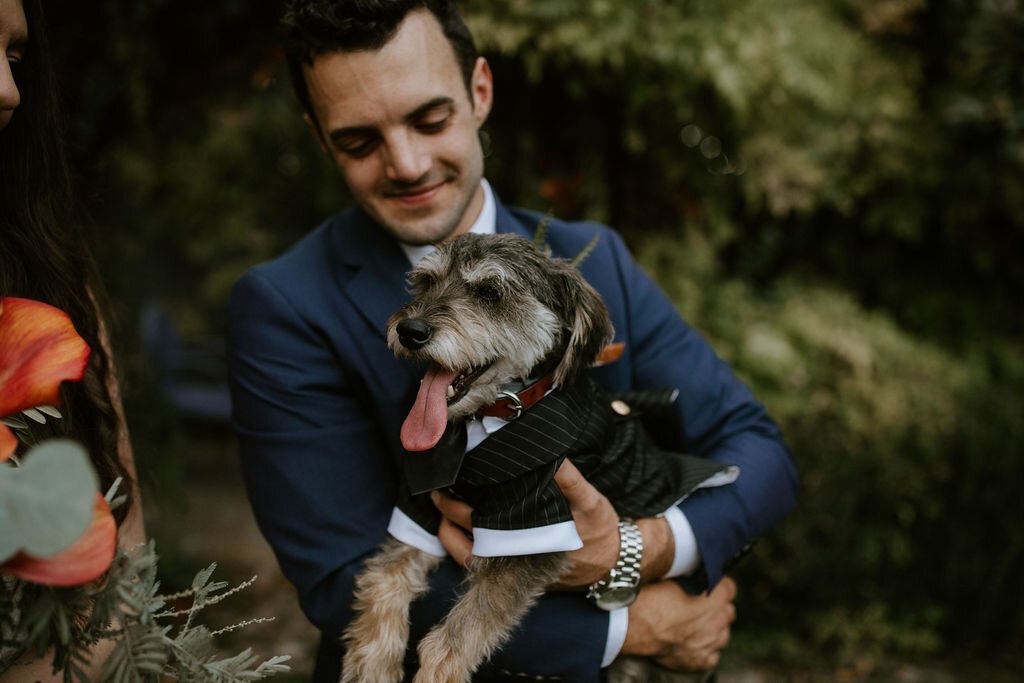 www.santabarbarawedding.com | Fancy Free Photography | Lavender Inn | Groom Holding Dog in Suit at Ceremony 