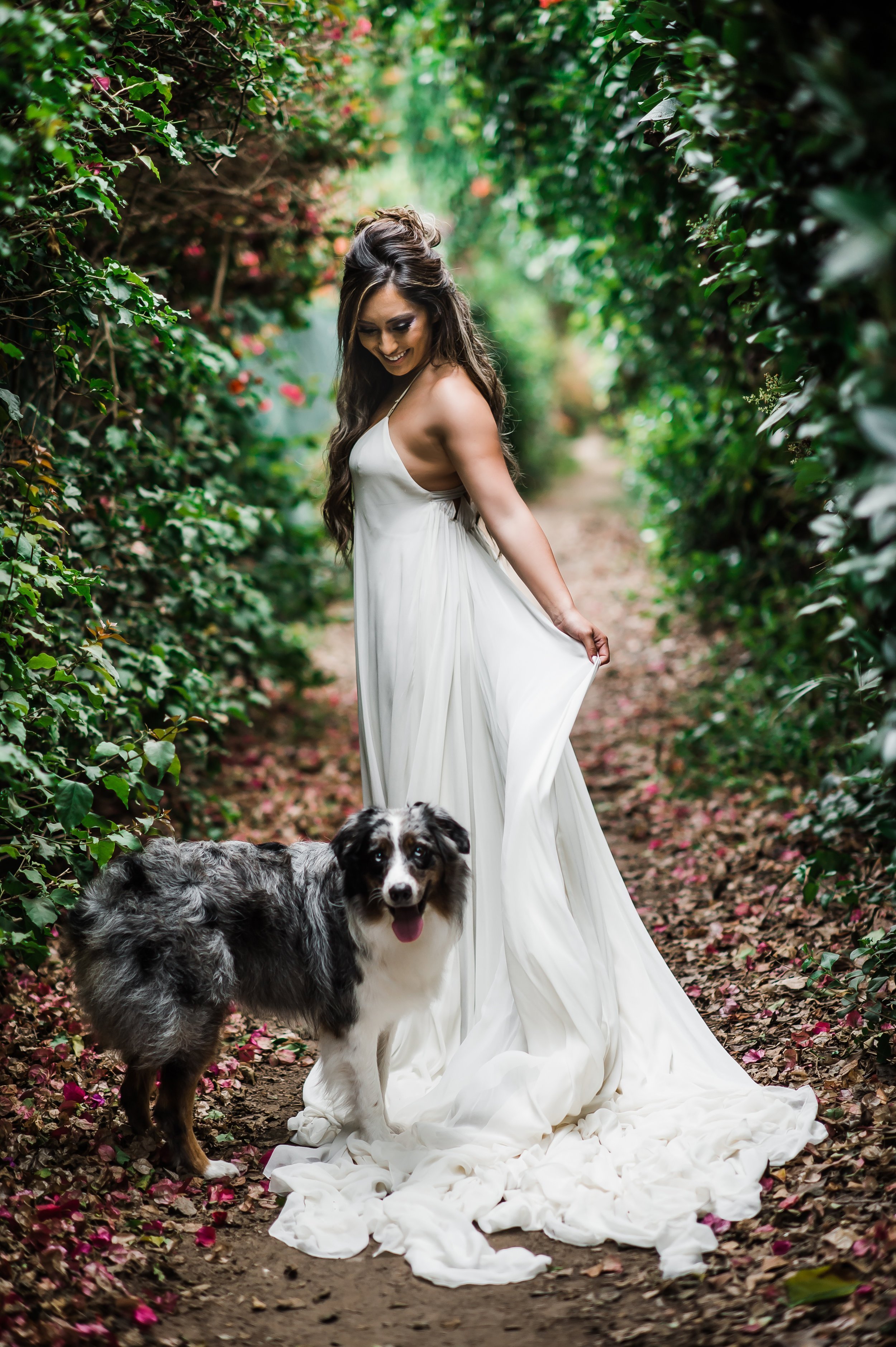 www.santabarbarawedding.com | Michelle Ramirez Photography | Fresch Events | Australian Shepard Standing on Bride’s Wedding Gown Train