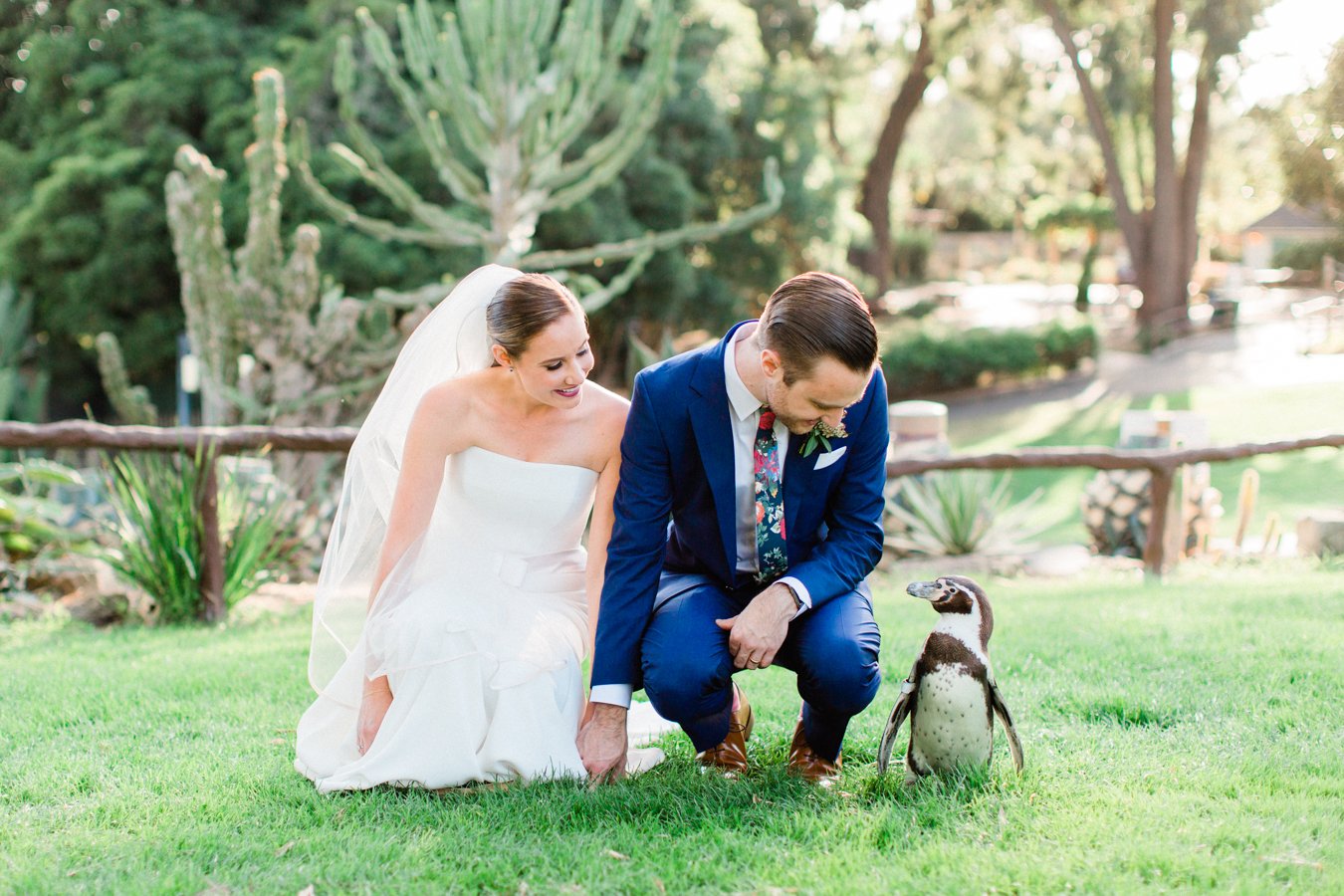 www.santabarbarawedding.com | Laura Ford Photos | Santa Barbara Zoo | Rincon Events | Bride and Groom and Penguin