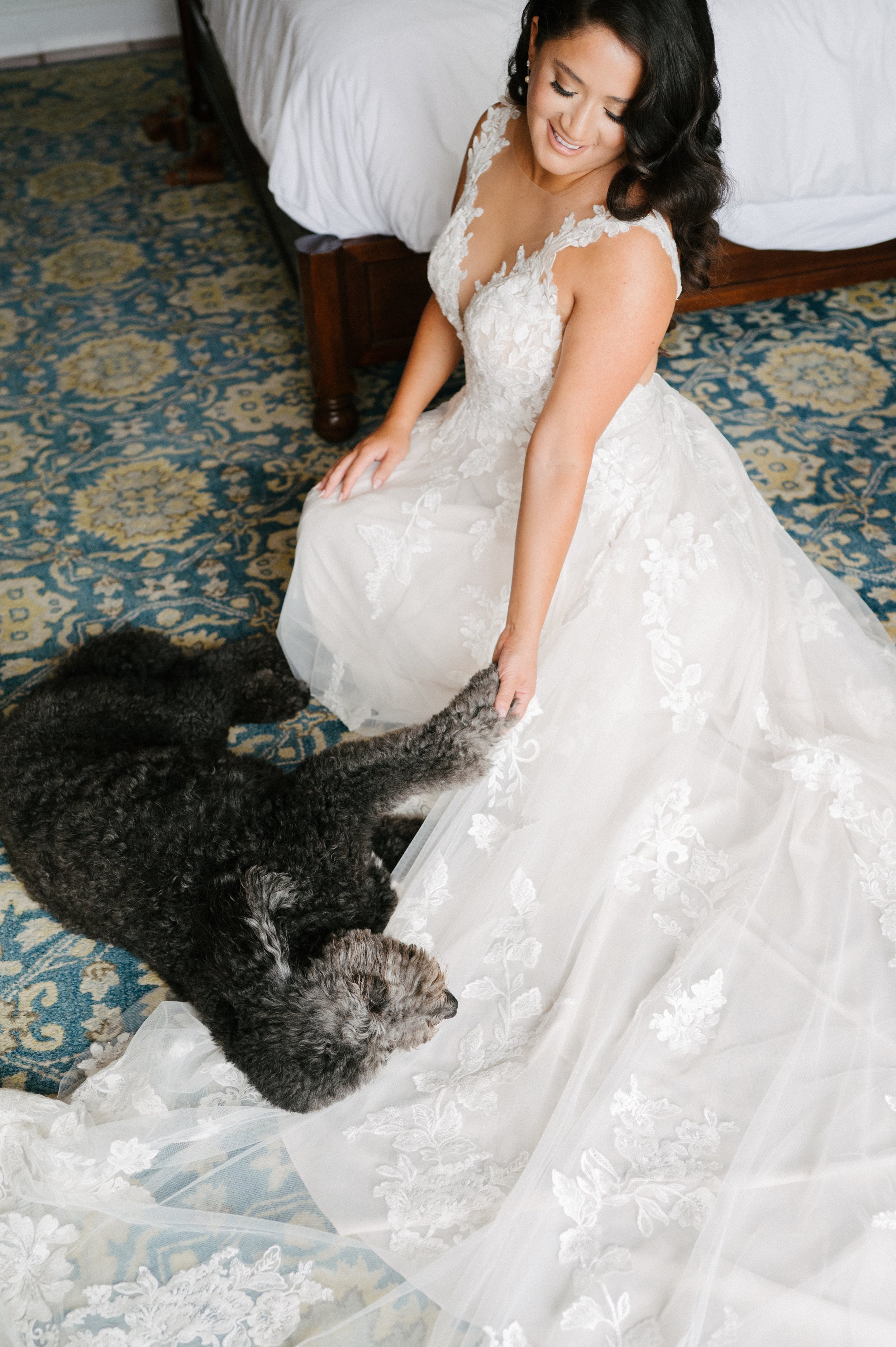 www.santabarbarawedding.com | Hoste Events | Haley Garces | Santa Barbara Inn | Fleur de Rye | NV Glam Studio | Bride in Her Gown with Her Dog 
