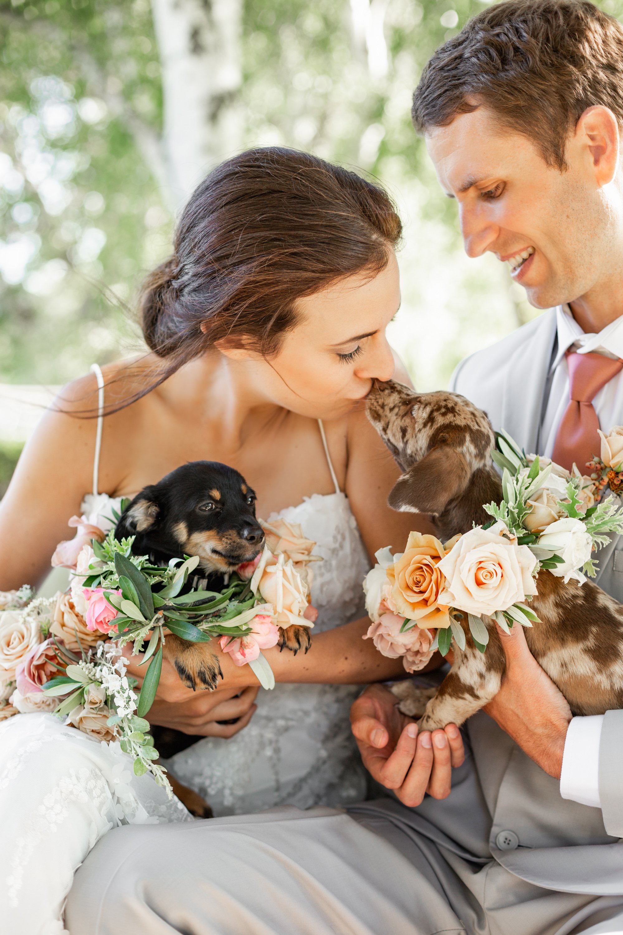 www.santabarbarawedding.com | Veils &amp; Tails Photography | Bride and Groom Holding Two Small Black and Brown Puppies with Flower Necklaces