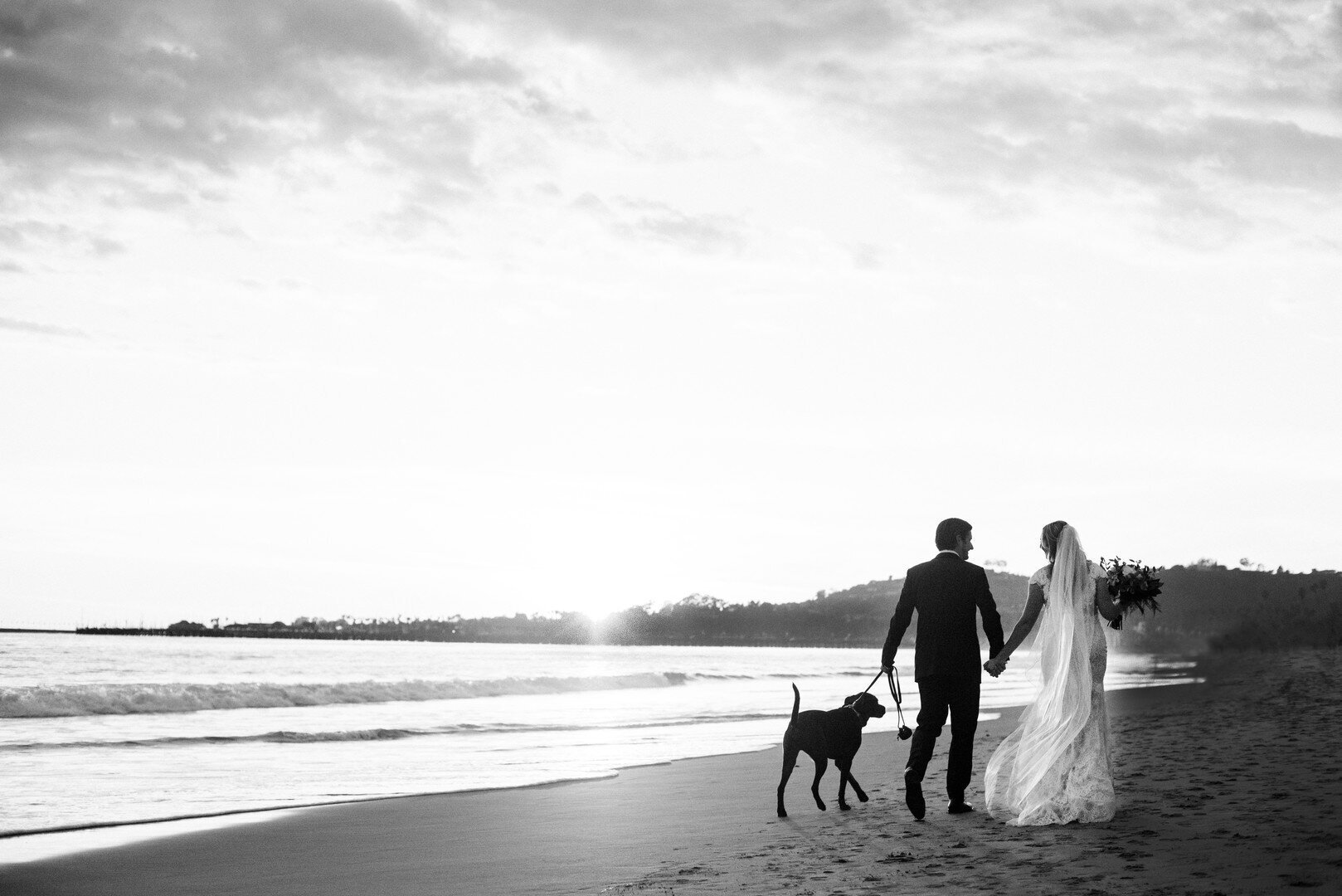 www.santabarbarawedding.com | ByCherry Photography | Couple Walking on the Beach with Their Dog