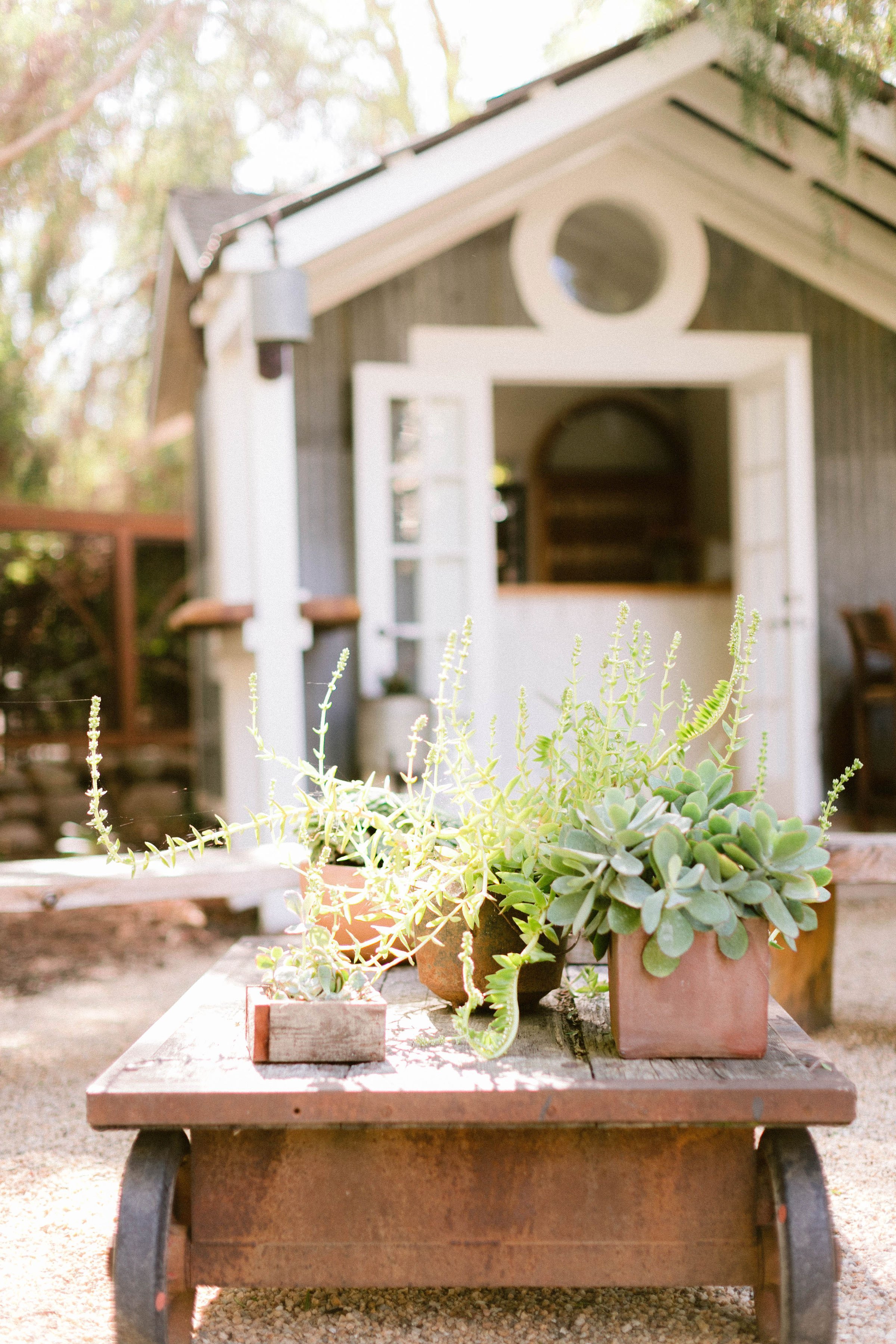 www.santabarbarawedding.com | Brittany Taylor Photography | Swell Studio Events | The Maker’s Son | Alpha Floral | Plants in Front of the Venue’s Bar Bungalow