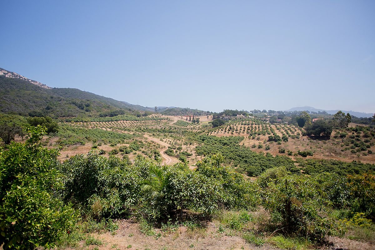 www.santabarbarawedding.com | Phillip Van Nostrand | Casitas Valley Farm | Venue