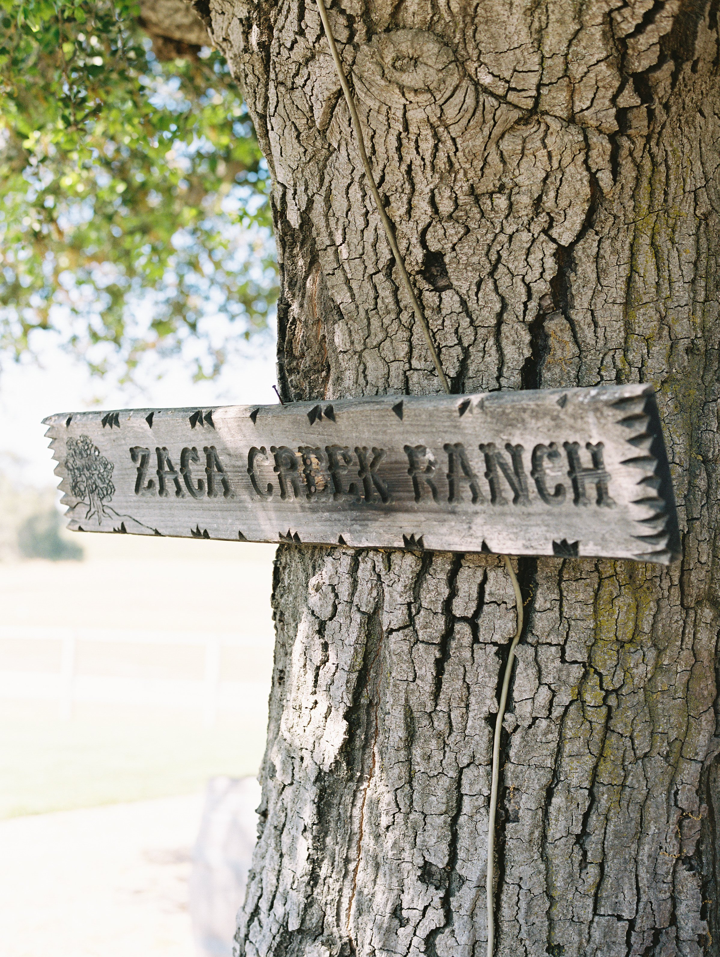www.santabarbarawedding.com | Zaca Creek Ranch | White Sage Events | Grace Aston | Sign Hanging from a Tree at the Venue