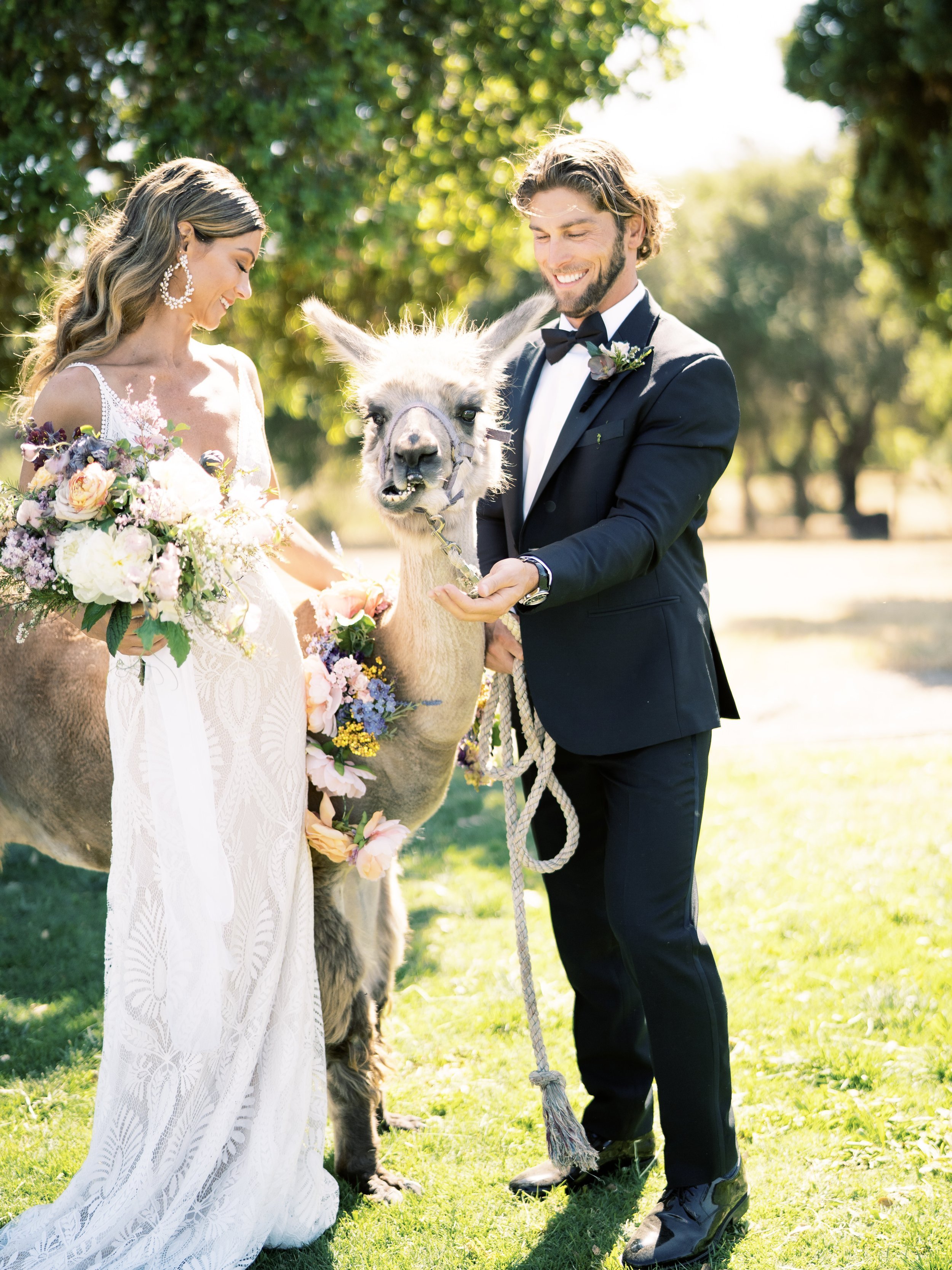 www.santabarbarawedding.com | Zaca Creek Ranch | White Sage Events | Grace Aston | Barefoot Floral | Sabrina Unke | Rish Bridal | The Black Tux | Cameron Dermicek | Couple with Alpaca 