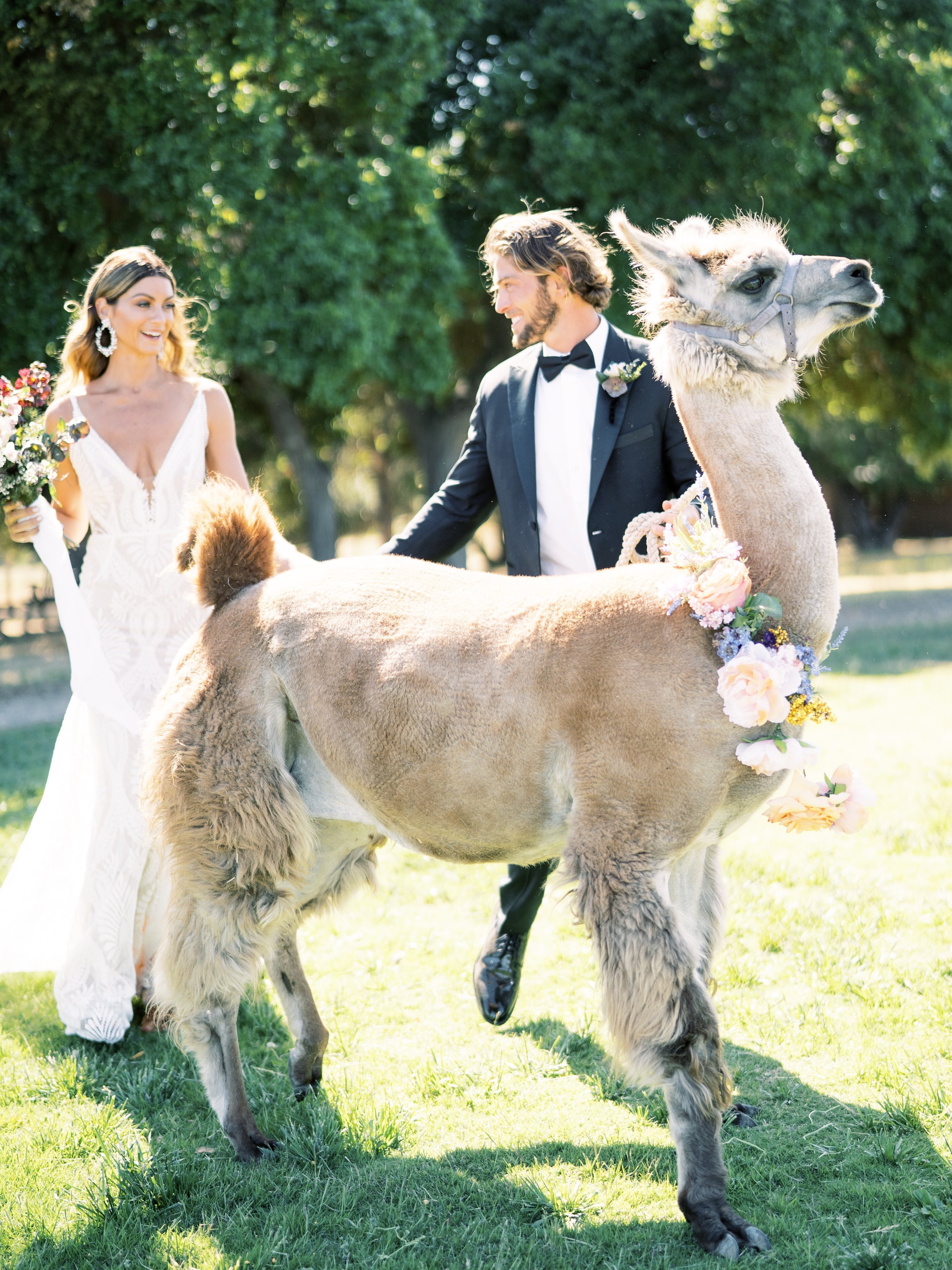 www.santabarbarawedding.com | Zaca Creek Ranch | White Sage Events | Grace Aston | Barefoot Floral | Sabrina Unke | Rish Bridal | The Black Tux | Cameron Dermicek | Couple with Alpaca 