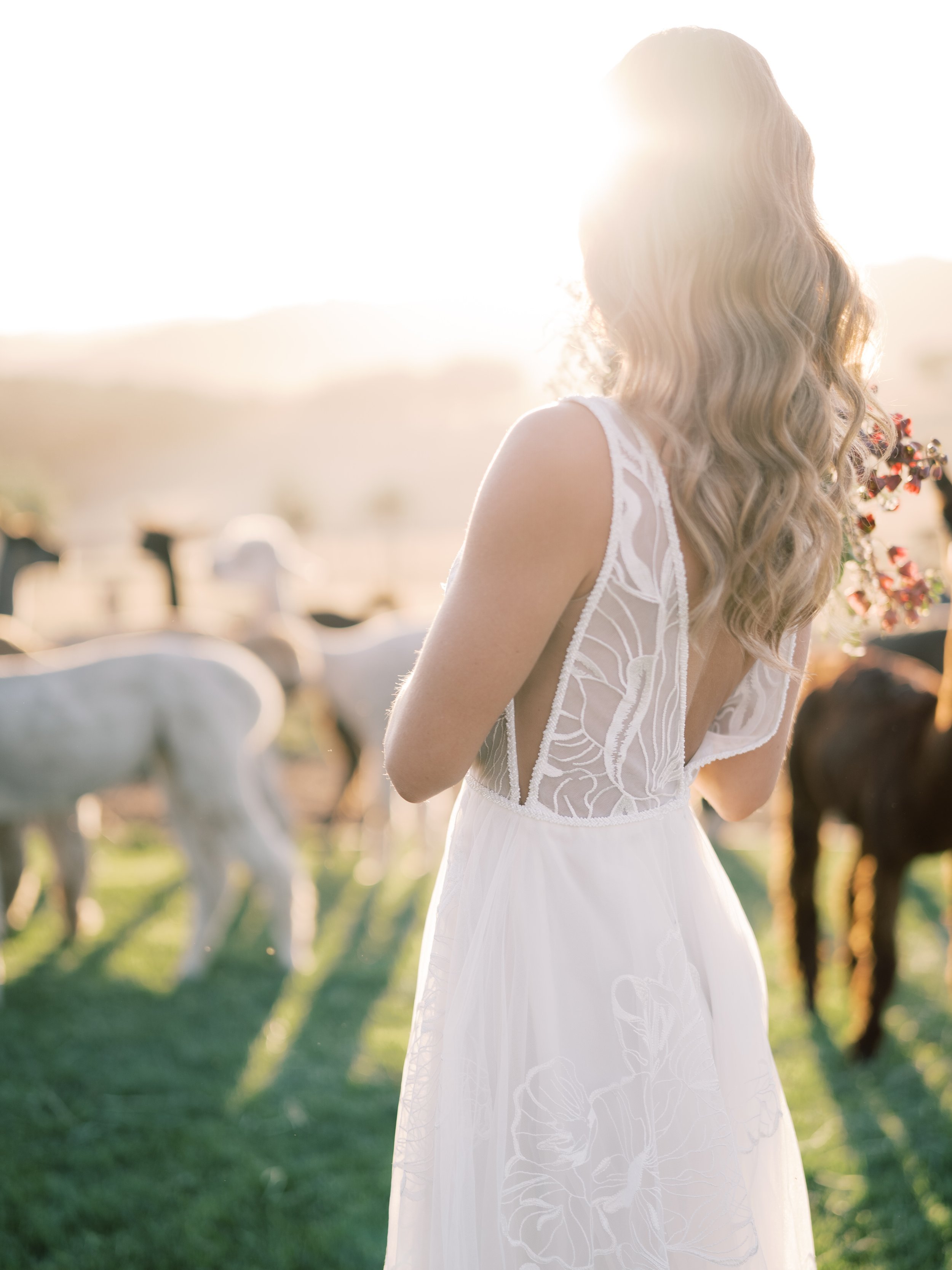 www.santabarbarawedding.com | Zaca Creek Ranch | White Sage Events | Grace Aston | Barefoot Floral | Sabrina Unke | Rish Bridal | Team Hair &amp; Makeup | Bride with Alpacas