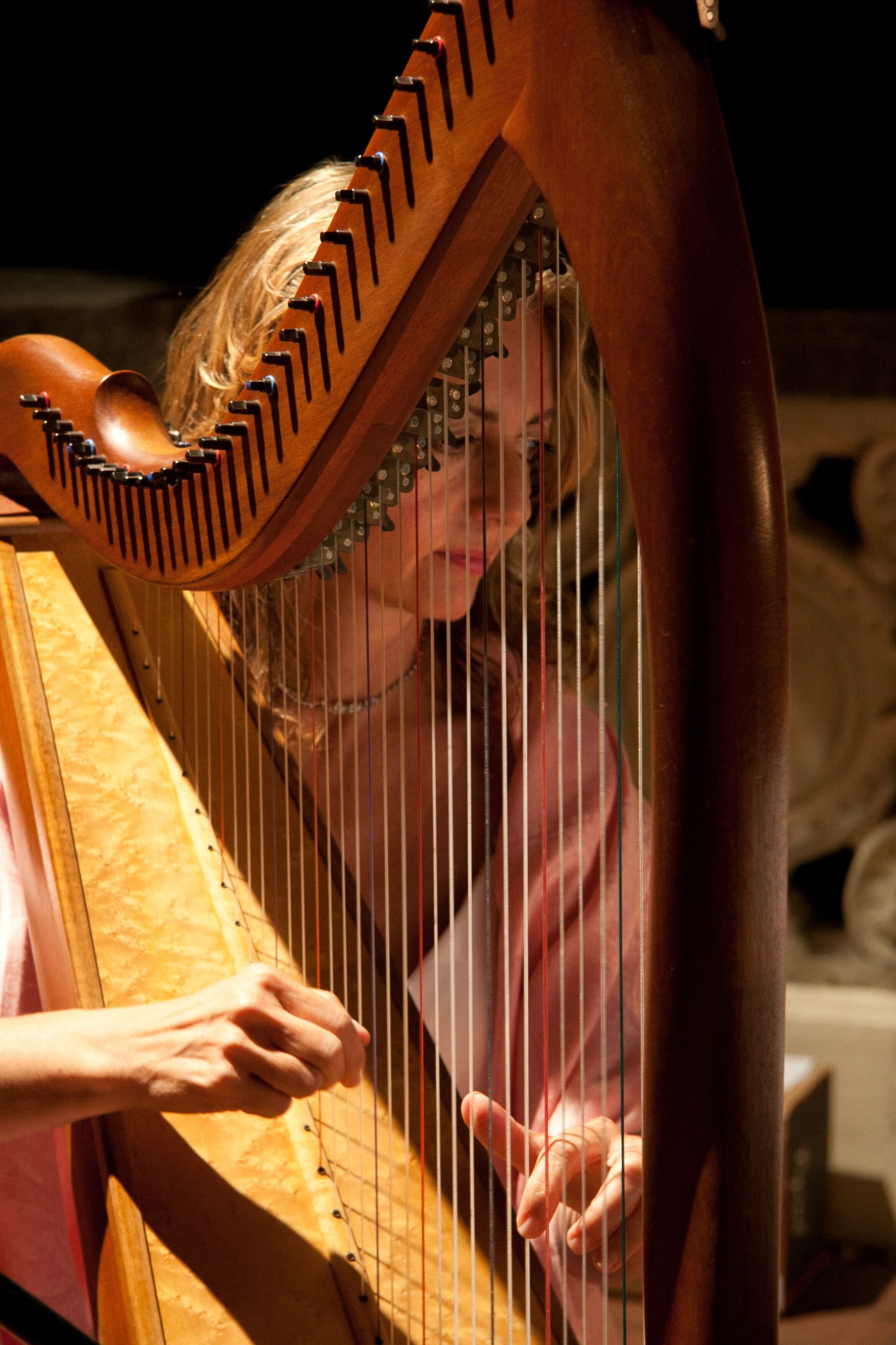 www.santabarbarawedding.com | Jeanne Martin, PhD Wedding Harpist | Harpist in a White Dress at the Wedding Reception