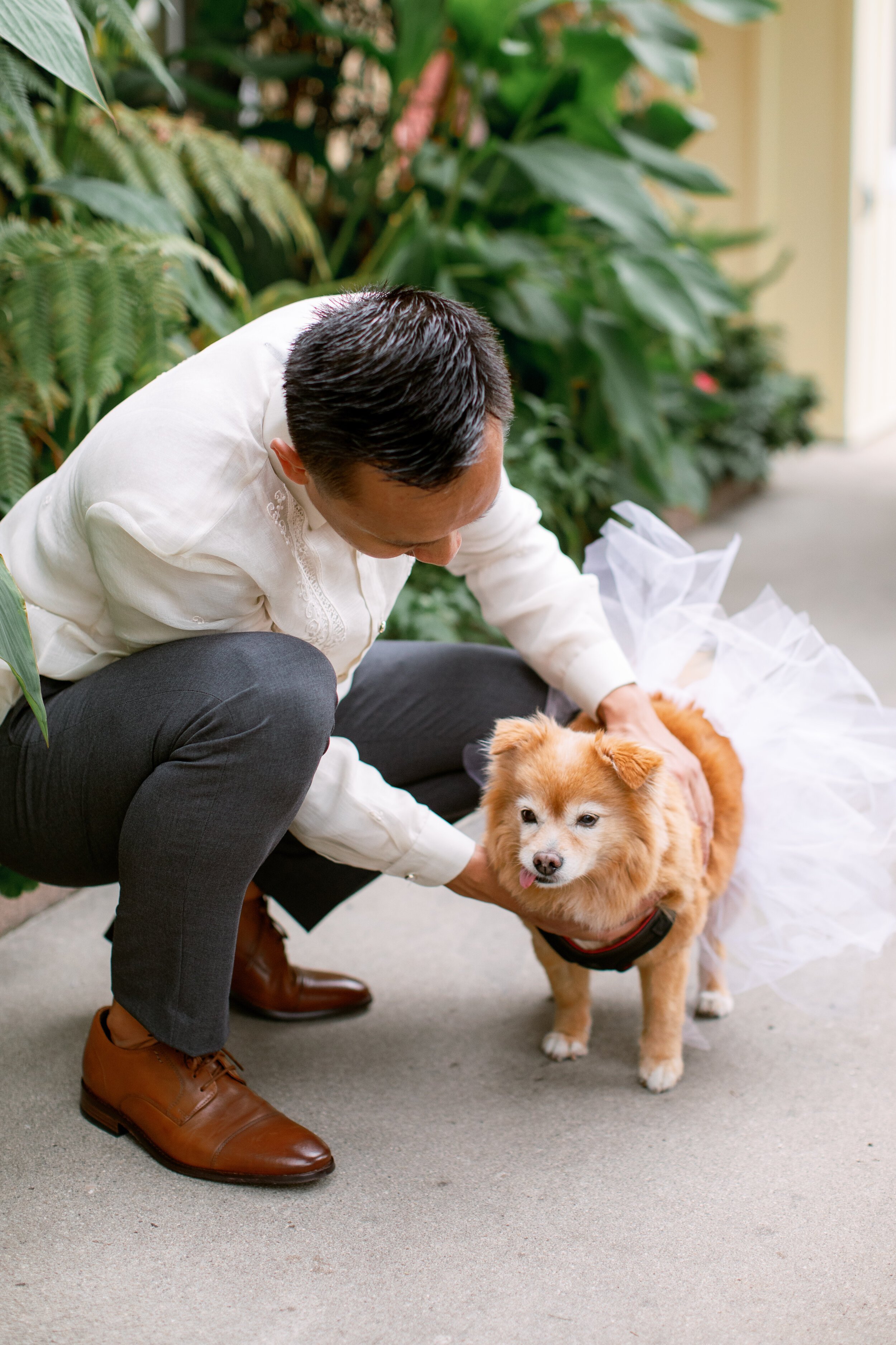 www.santabarbarawedding.com | Events by Fran | Anna Delores Photography | Small Dog in Tutu