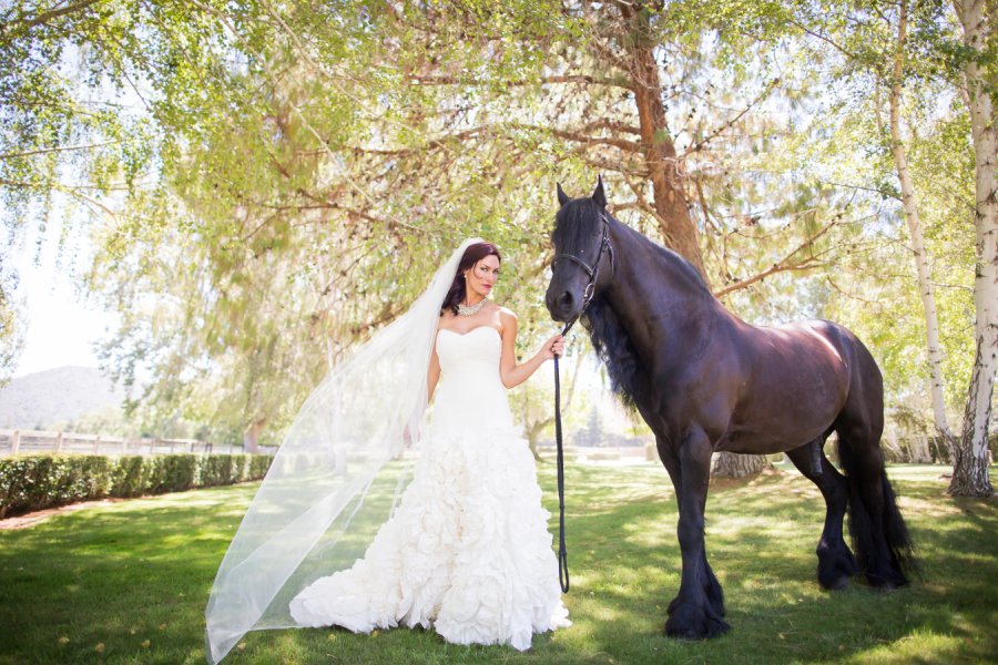 www.santabarbarawedding.com | Ann Johnson Events | Jessica Lewis Photo | Whispering Rose Ranch | Bride and Horse