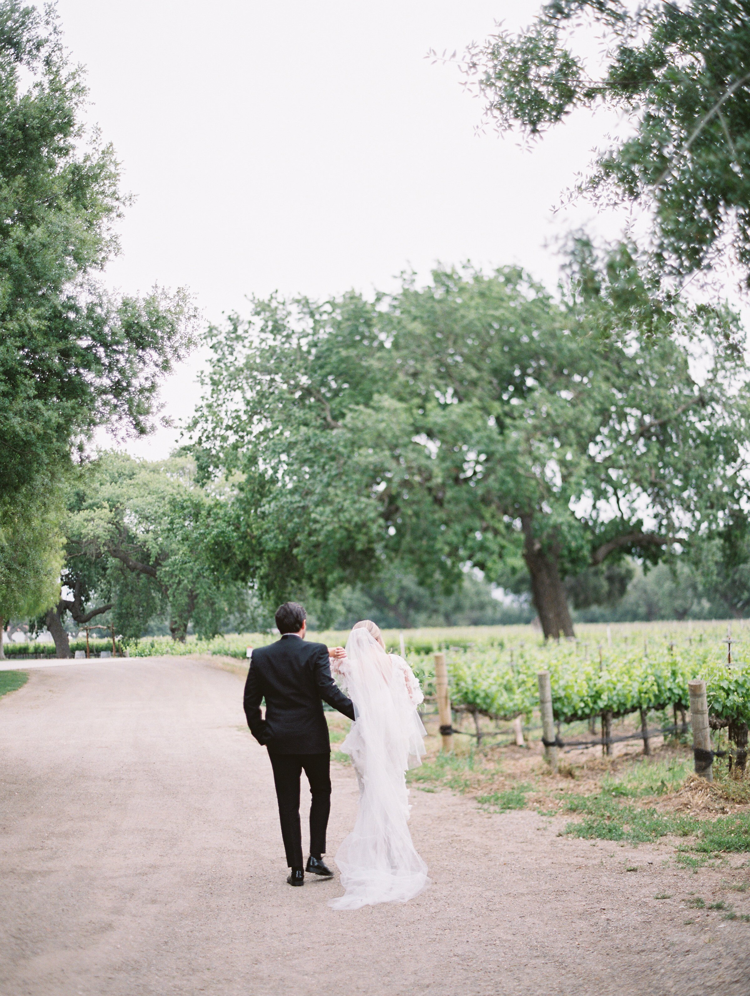 www.santabarbarawedding.com | Roblar Farm | Smith and Murphy | Esther Sun | Velvet Blooms | Friar Tux | Marchesa | Janet Villa | Groom and Bride with Bouquet 