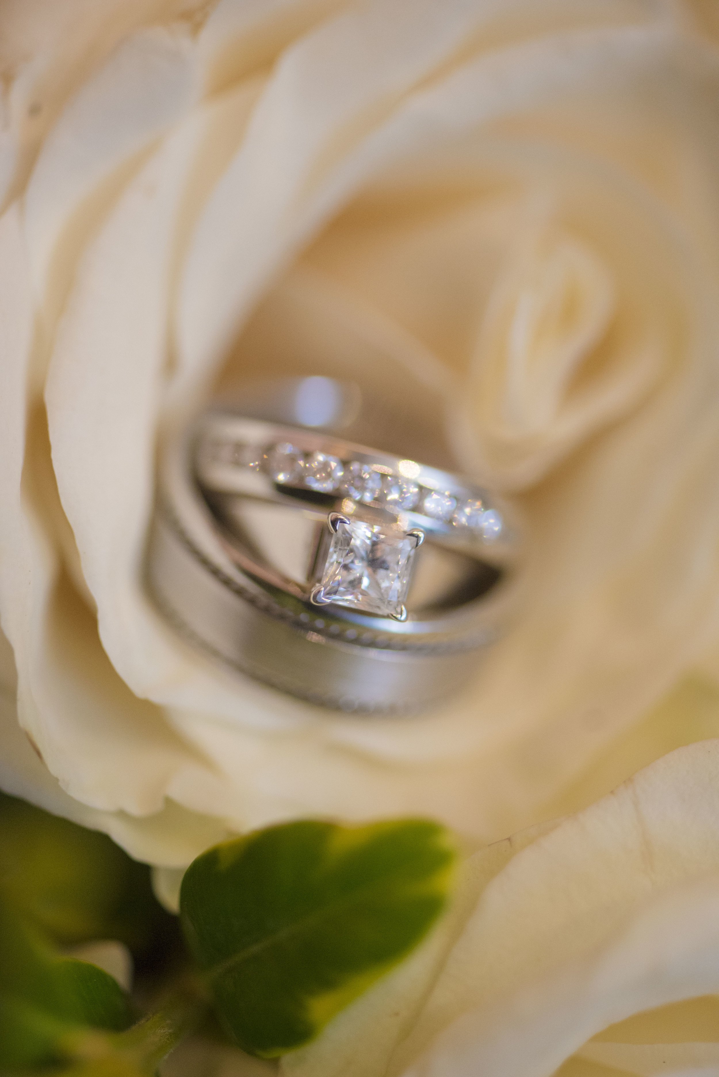 www.santabarbarawedding.com | By Cherry Photography | Chase Palm Park | Wedding Rings