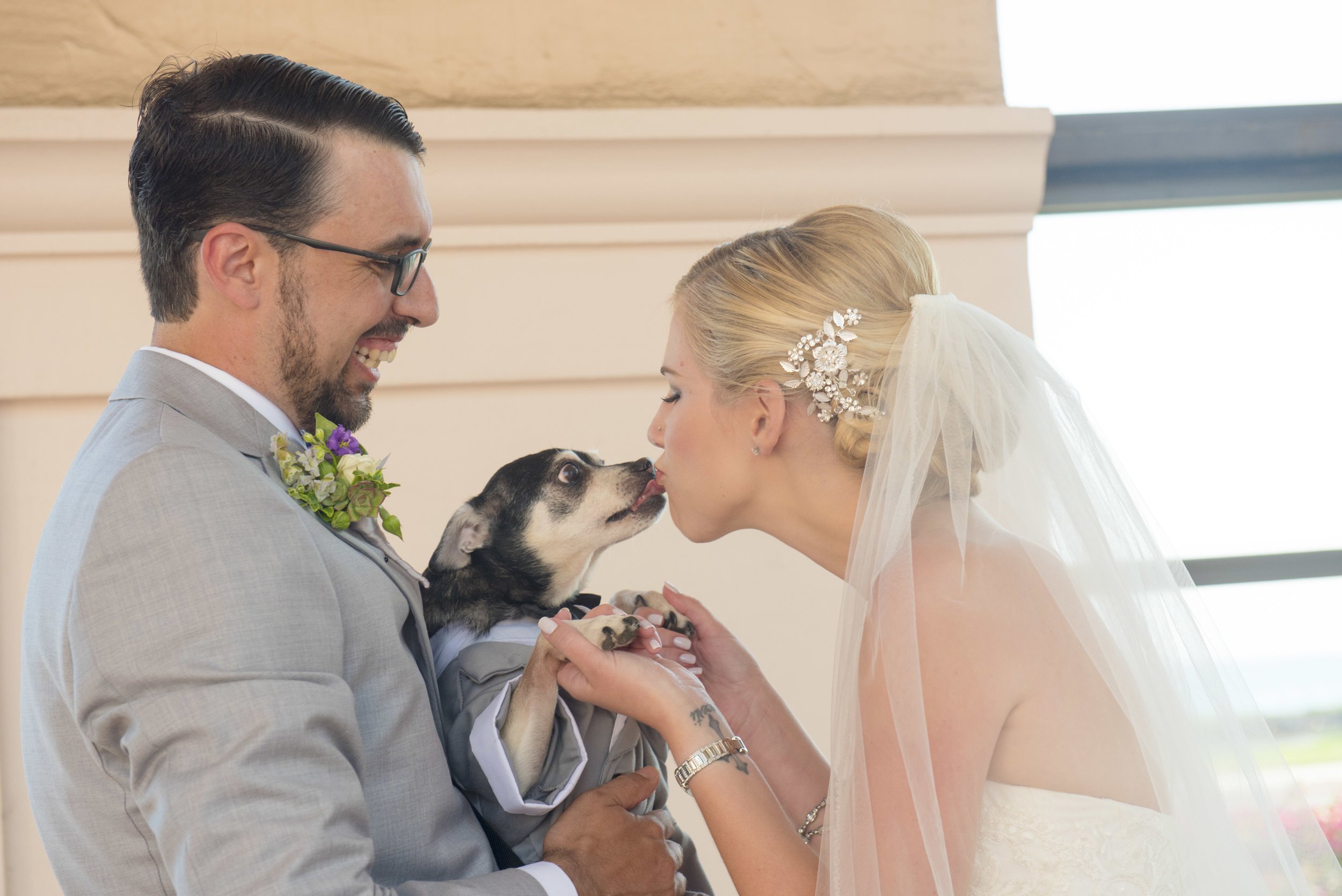 www.santabarbarawedding.com | By Cherry Photography | Chase Palm Park | Bride and Groom and Dog