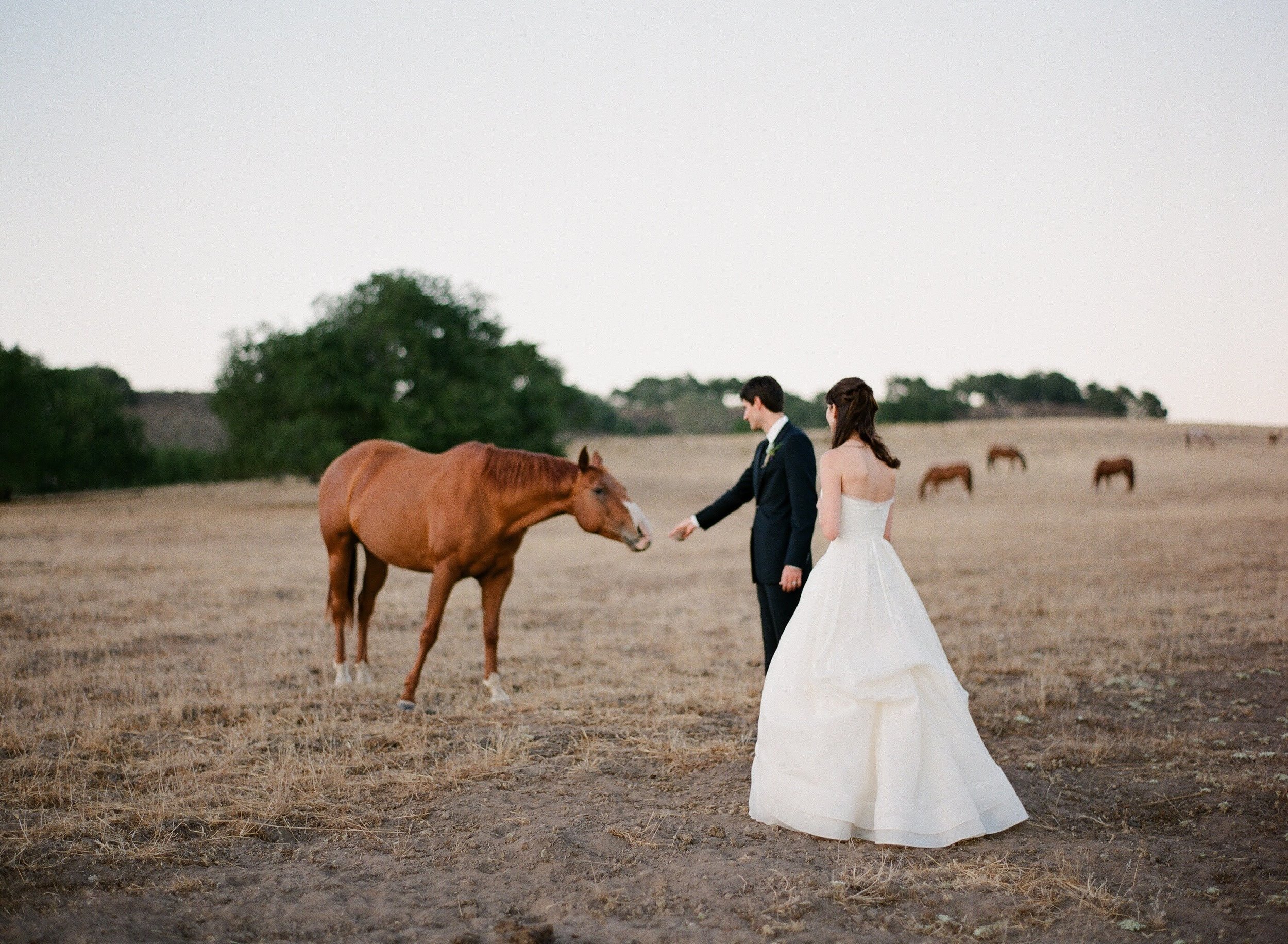 www.santabarbarawedding.com | Zaca Creek Ranch