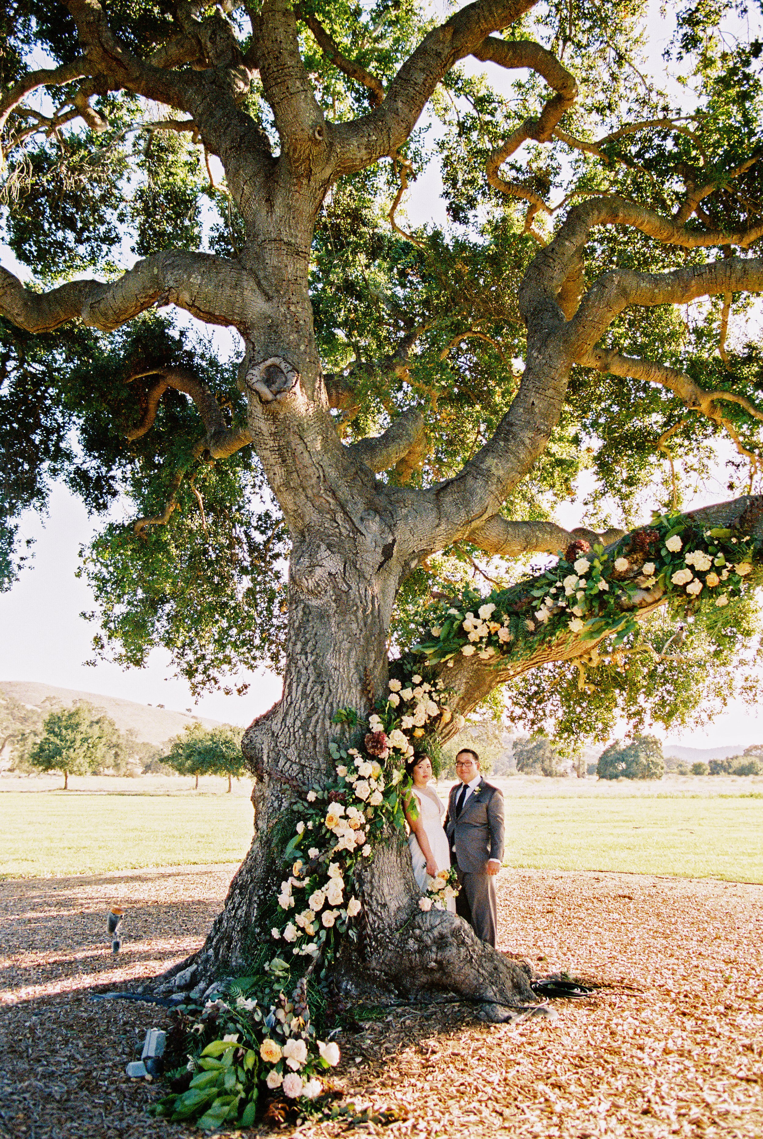 www.santabarbarawedding.com | Michael and Anna Costa | Crossroads Estate at Firestone Vineyard | Soleil Events | Anna Le Pley Taylor | Cheek to Cheek Artistry | outdoor wedding with bride and groom