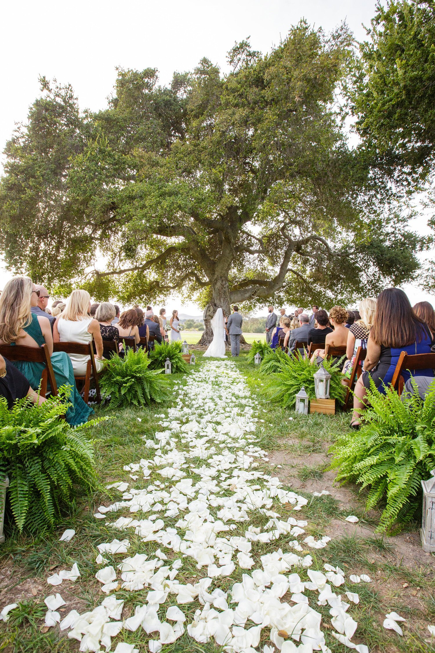 www.santabarbarawedding.com | Mary Jane Photography | Cody Floral Design | Ceremony Aisle Covered in White Flower Petals