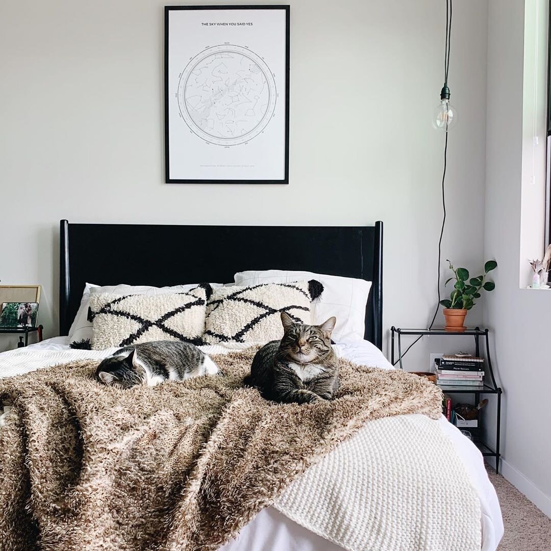 www.santabarbarawedding.com | Under Lucky Stars | Apartment 206 | ‘The Sky When You Said Yes’ Star Map Hanging on the Wall with Two Cats on the Bed