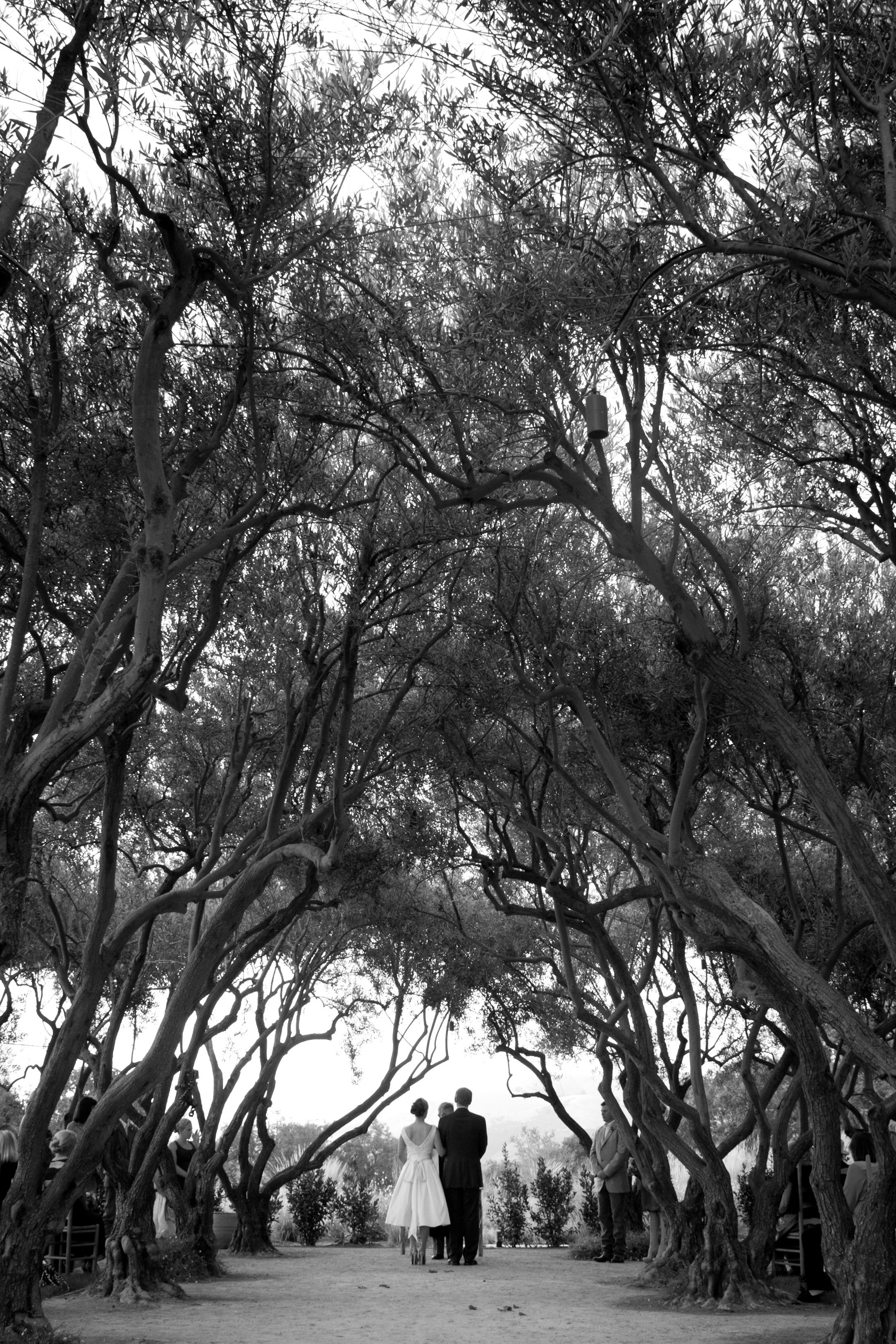 www.santabarbarawedding.com | Rancho la Zaca | Tim Halberg