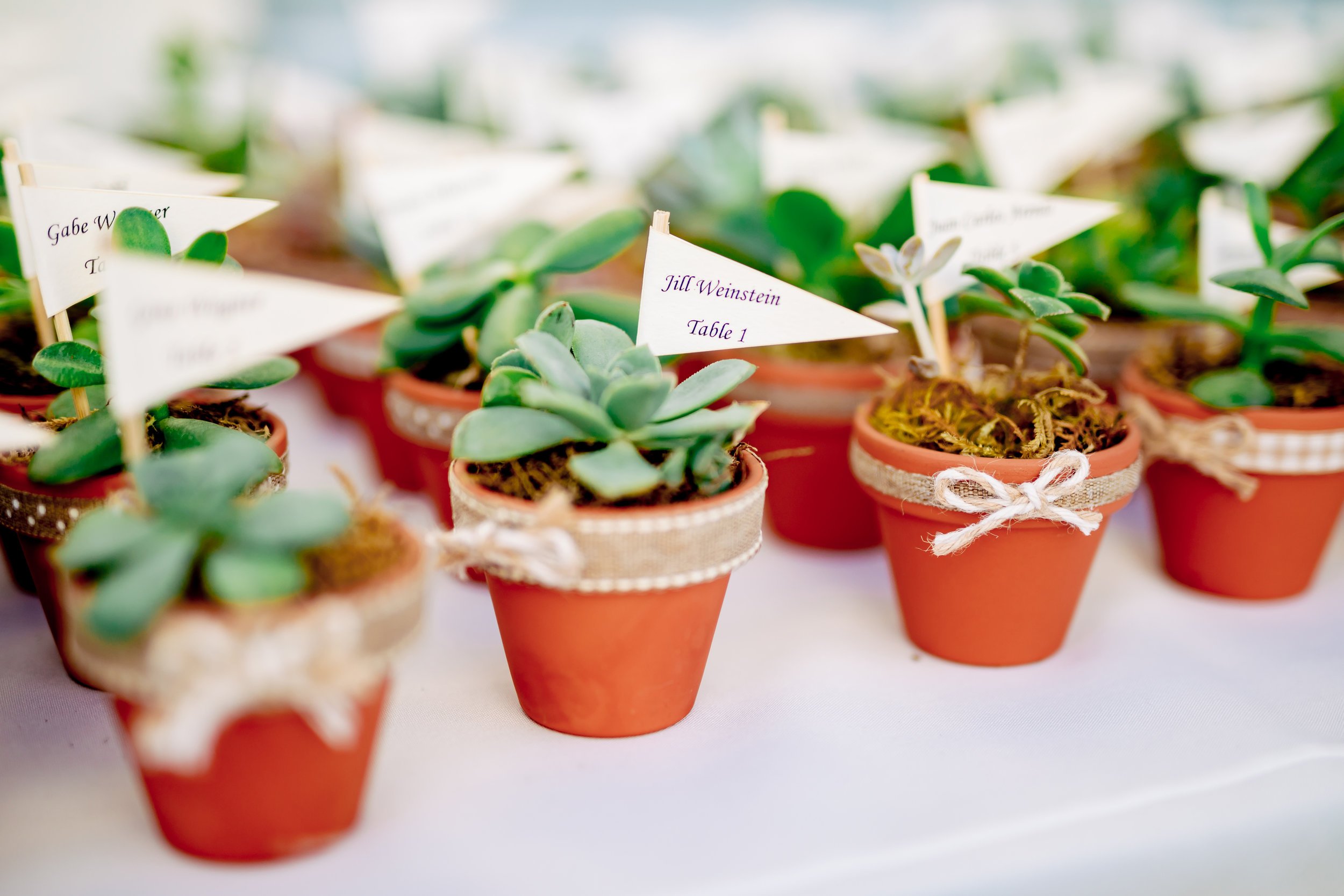 www.santabarbarawedding.com | Rewind Photography | Santa Barbara Sea Center | Events by Fran | Escort Succulents