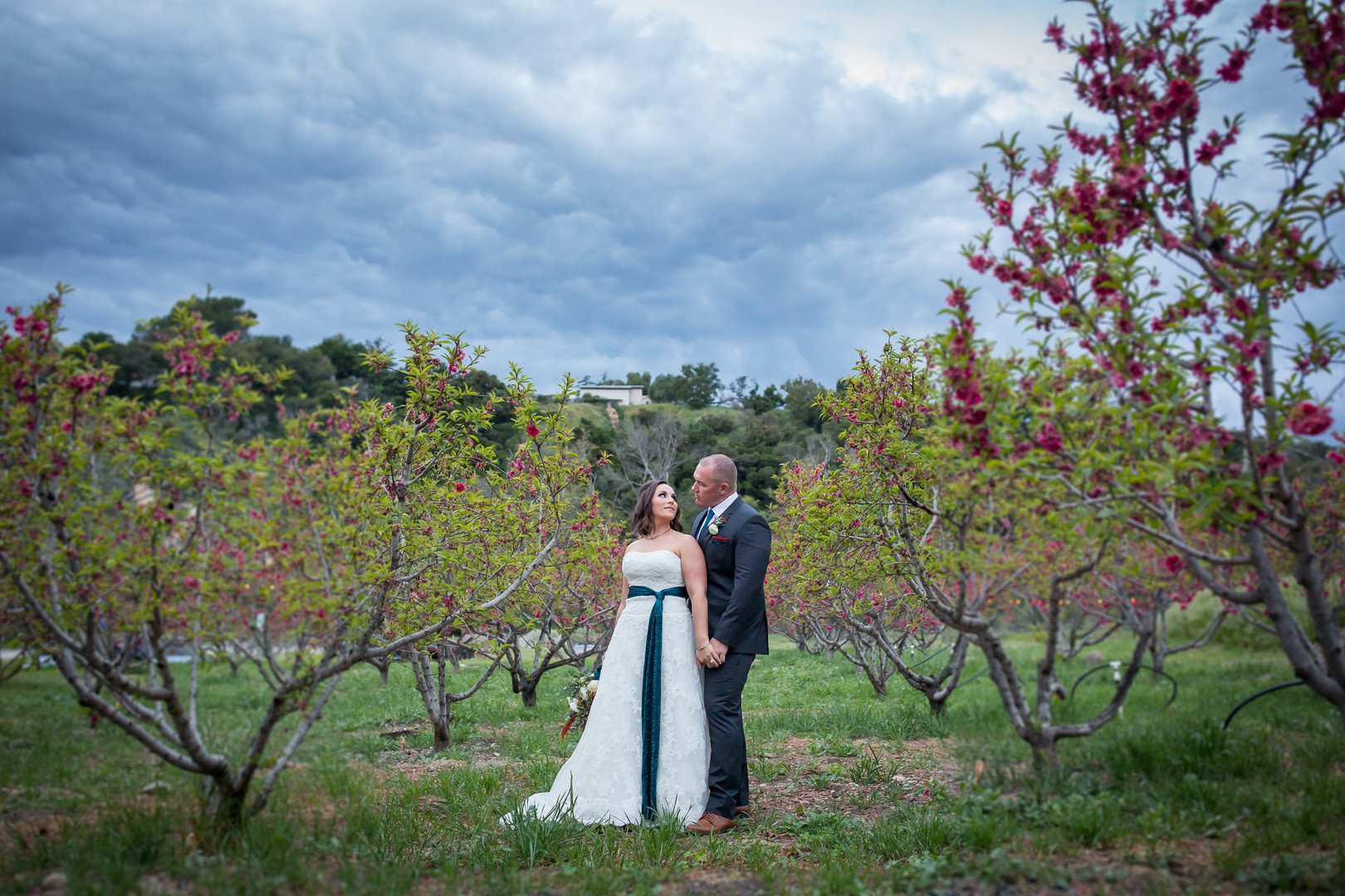 www.santabarbarawedding.com | Elizabeth Victoria Photography | Old Creek Ranch Winery | PacWest Blooms | Friar Tux | Pronovias | Beau Ideal Beauty | bride and groom