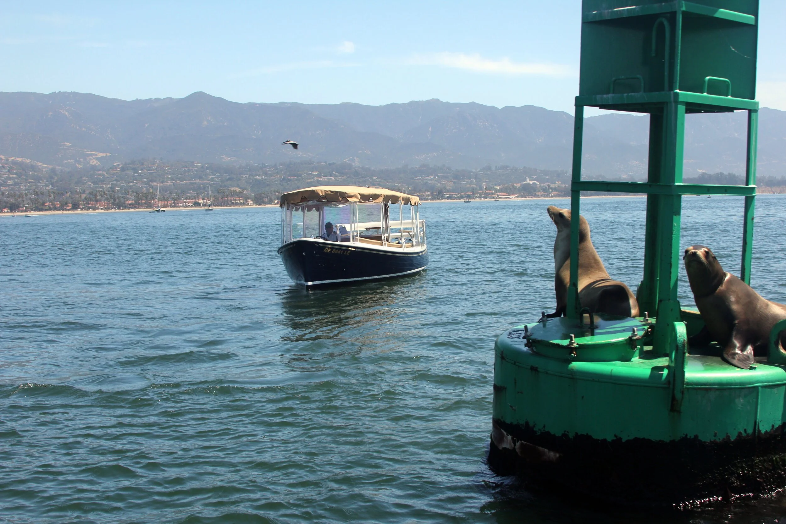 www.santabarbarawedding.com | Whisper - Private Electric Boat Charter | Celebration Cruises