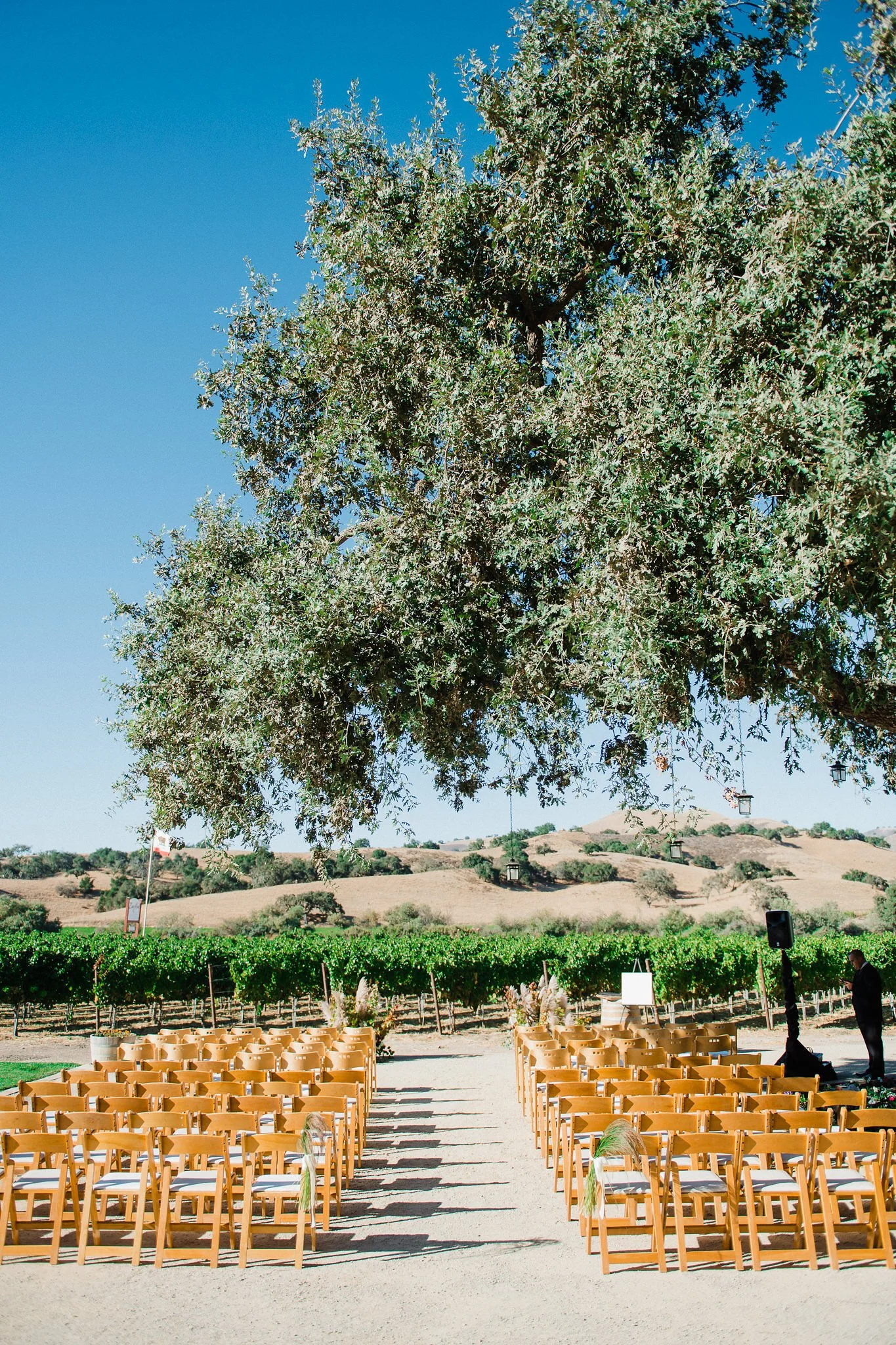 Zaca Mesa Winery & Vineyards — Santa Barbara Wedding Style