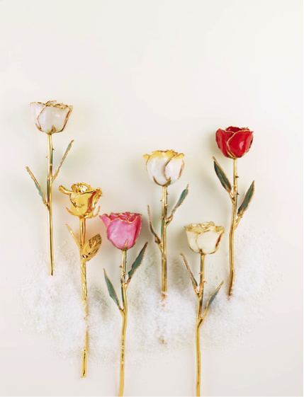 www.santabarbarawedding.com | Fine Jewelry Wholesaler | 6 24K Gold Dipped Roses