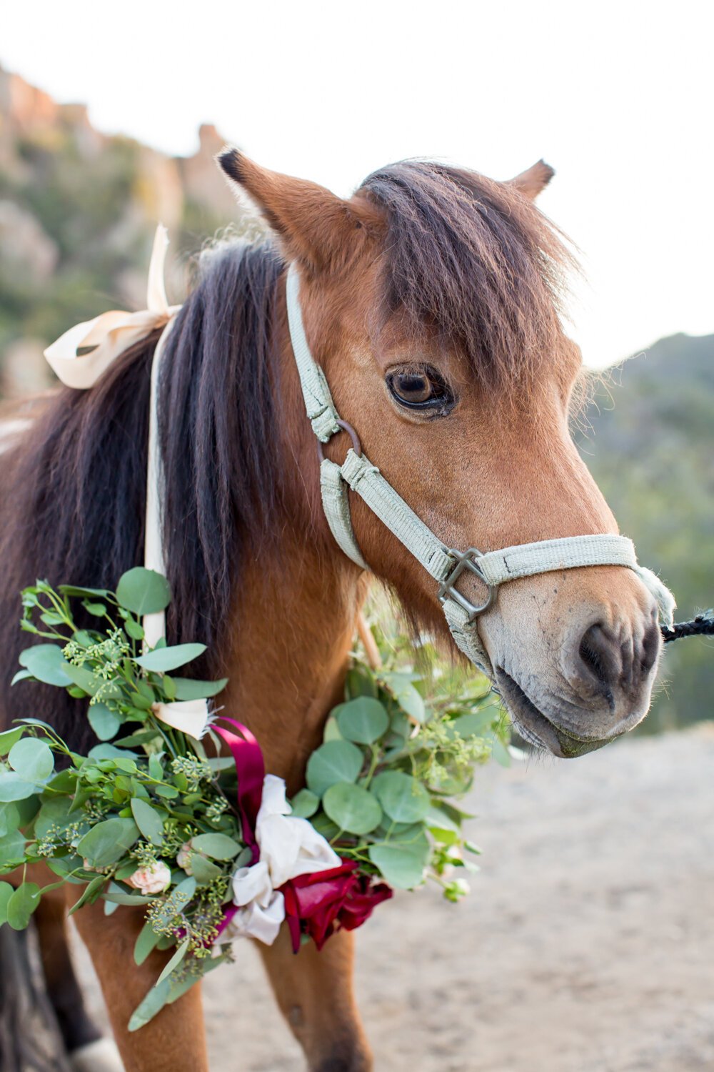 www.santabarbarawedding.com | APEX Malibu | Elizabeth Victoria Photography | Ebeling Events | Flowers by Maria | Pony with a Flower Necklace