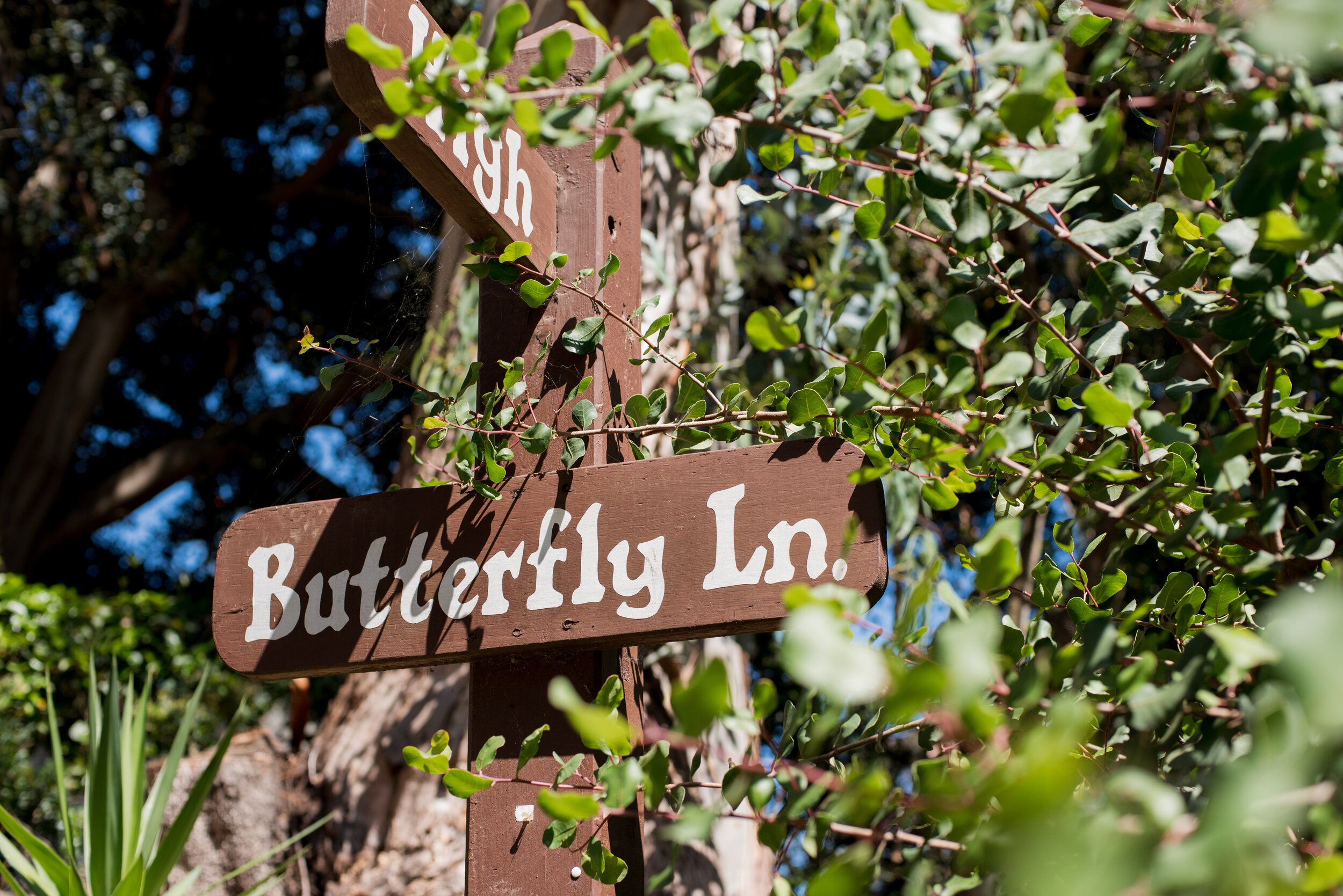 www.santabarbarawedding.com | ByCherry Photography | Riviera Productions | Butterfly Lane Street Sign