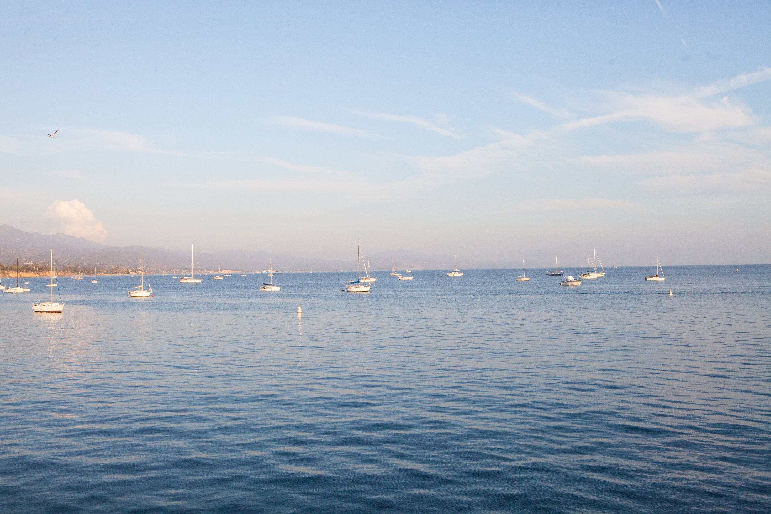 www.santabarbarawedding.com | Linda Chaja Photography | Santa Barbara Museum of Natural History Sea Center