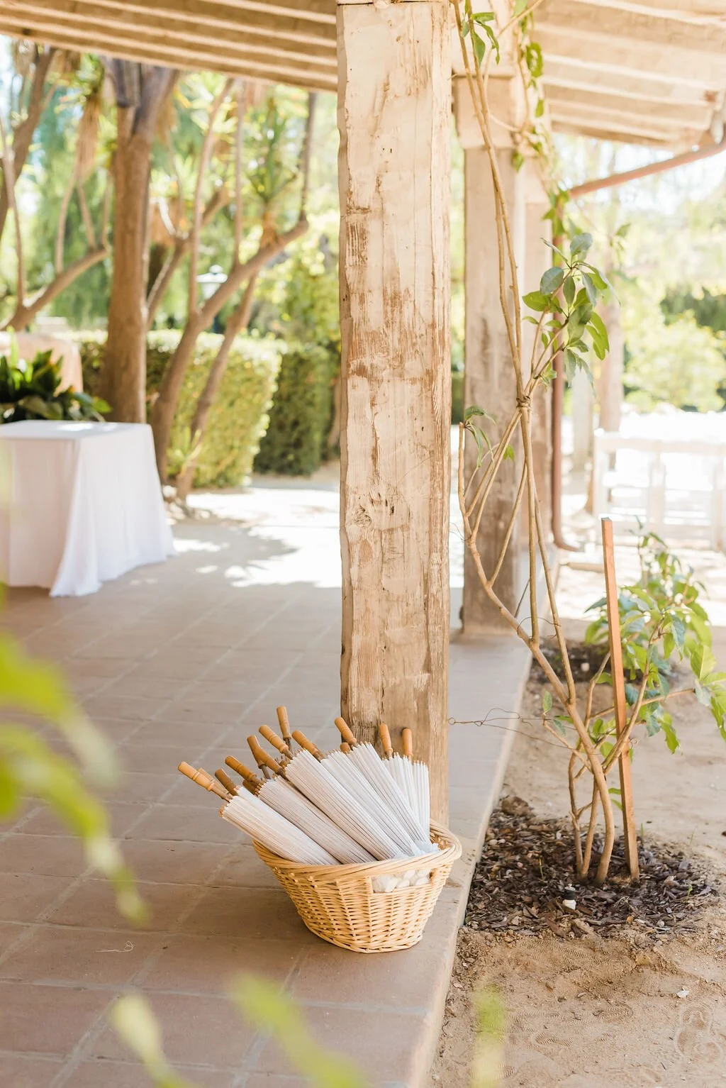 www.santabarbarawedding.com | SB Historical Museum | Donna Romani | Julie Shuford Photography | Alexis Ireland Florals | Town and Country Event Rentals | Umbrellas for the Ceremony
