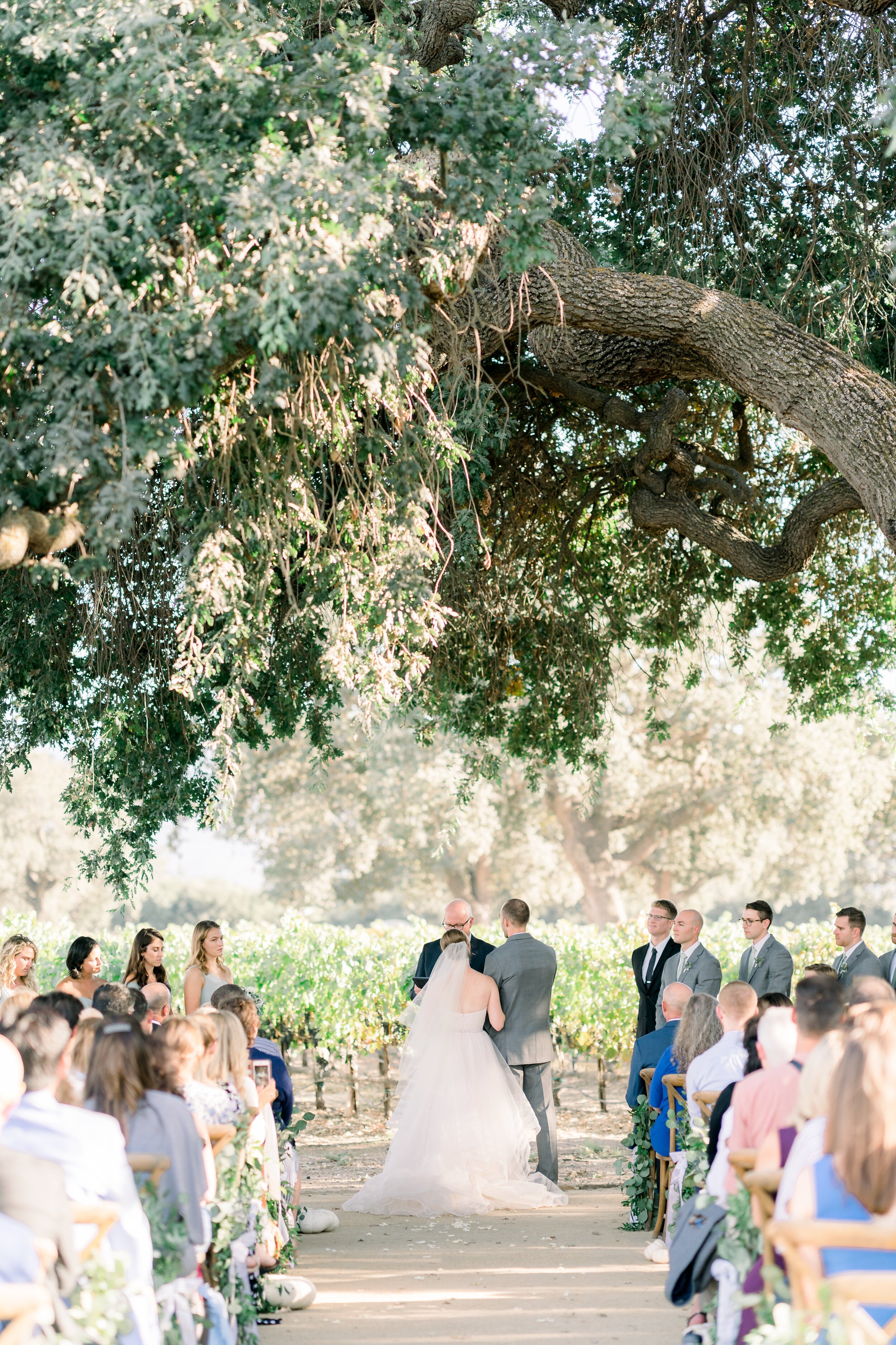 www.santabarbarawedding.com | We Heart Photography | Roblar Winery | Elizabeth Ginder Events | Alexis Ireland Florals | Camaille Victoria | Mishay Salon | Bride and Groom at the Ceremony