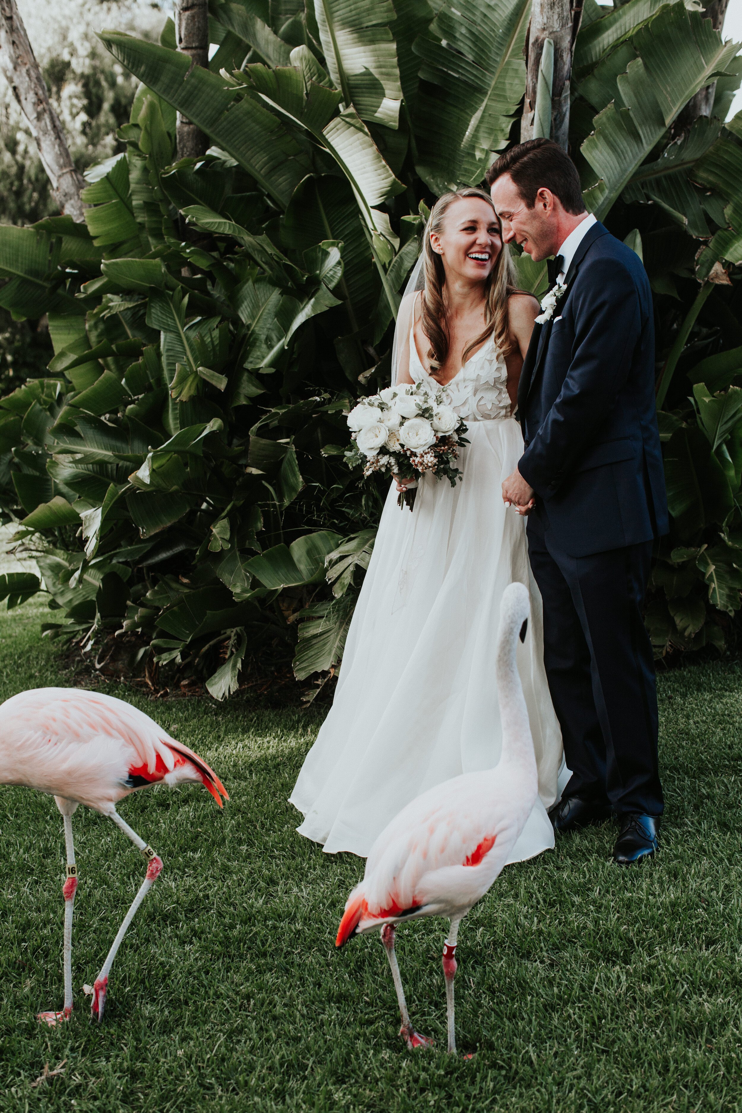 www.santabarbarawedding.com | Santa Barbara Zoo | XOXO Weddings | Alexandra Wallace | Geoff Rivers | Louloudi Design | Bride and Groom with Flamingoes 