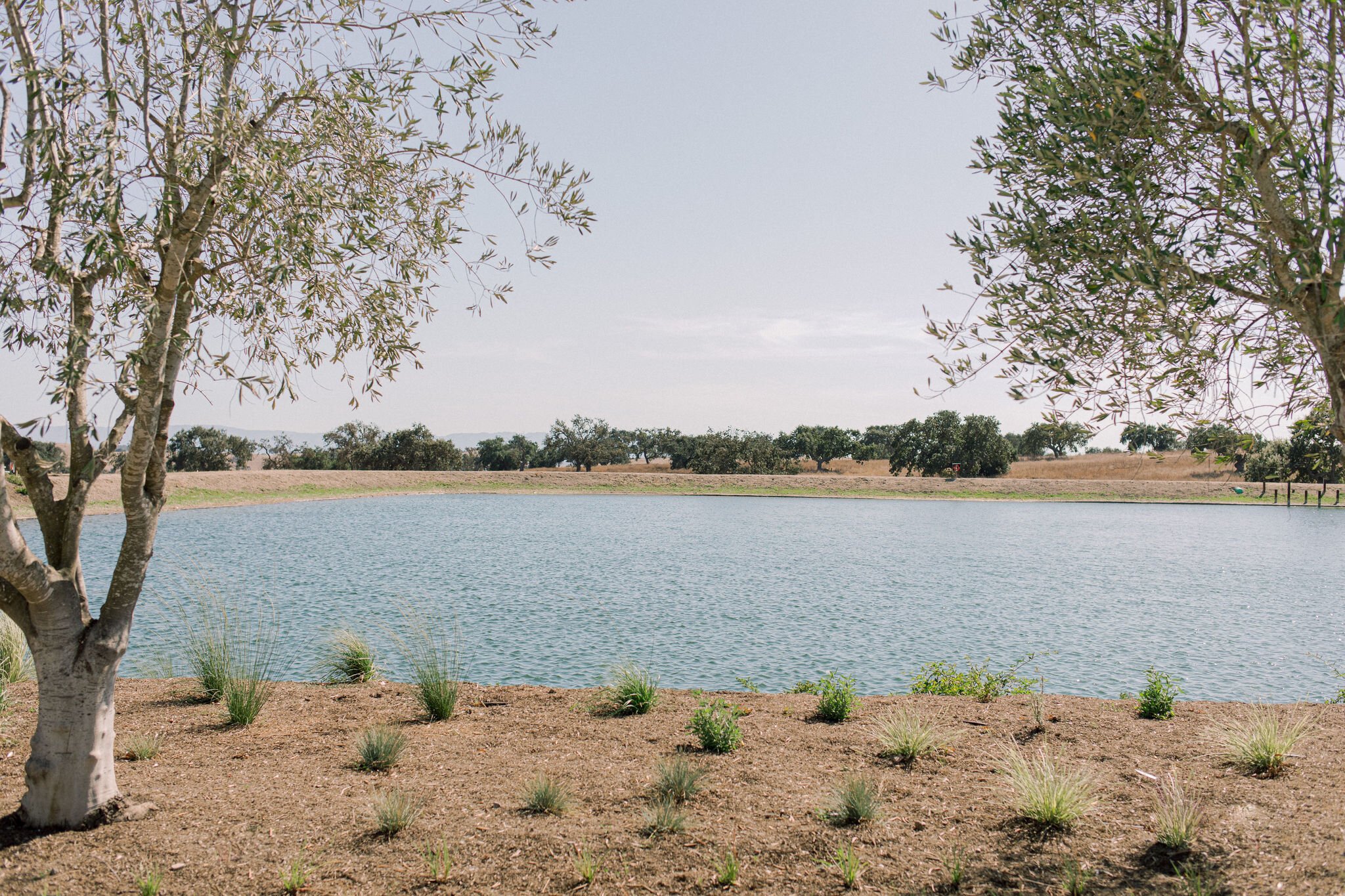 www.santabarbarawedding.com | Fess Parker Winery | Lucas Rossi Photography | Rheefined Company | View of the Lake