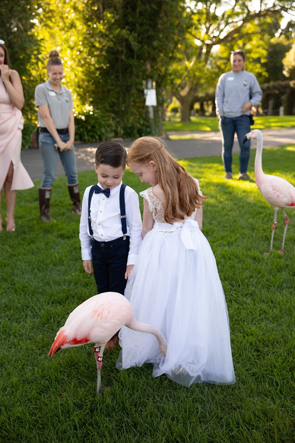 www.santabarbarawedding.com | Santa Barbara Zoo | Events by Rincon | Sarita Relis Photography | Ring Bearer and Flower Girl with Flamingo