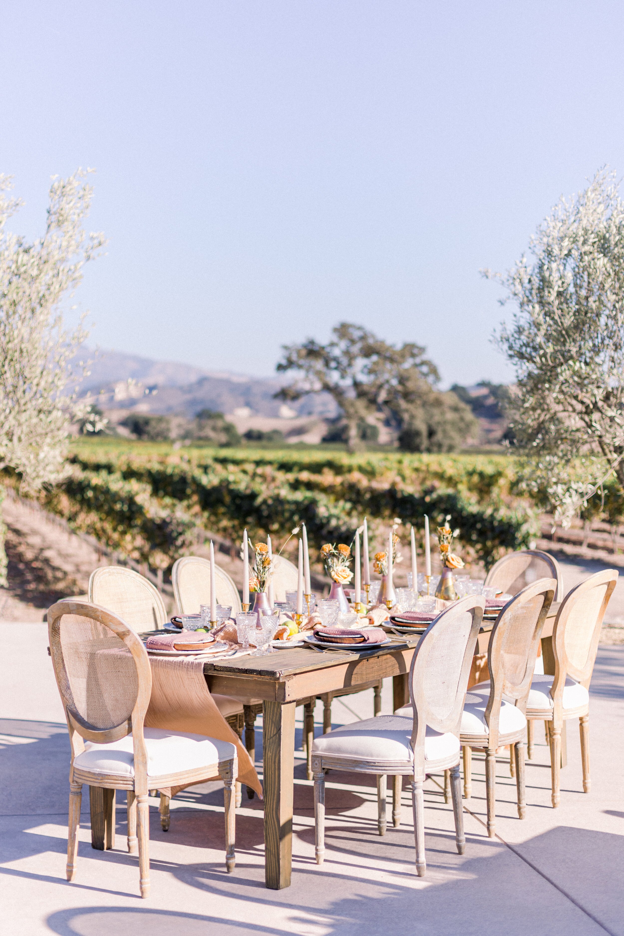 www.santabarbarawedding.com | Jocelyn and Spencer | Rodney's Vineyard | Joelle Charming | Table