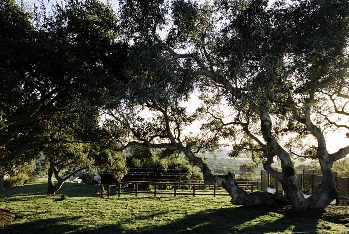 www.santabarbarawedding.com | Soigne Productions | Cebada Winery | Michael and Anna Costa