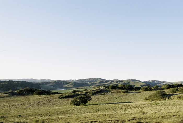 www.santabarbarawedding.com | Soigne Productions | Cebada Winery | Michael and Anna Costa