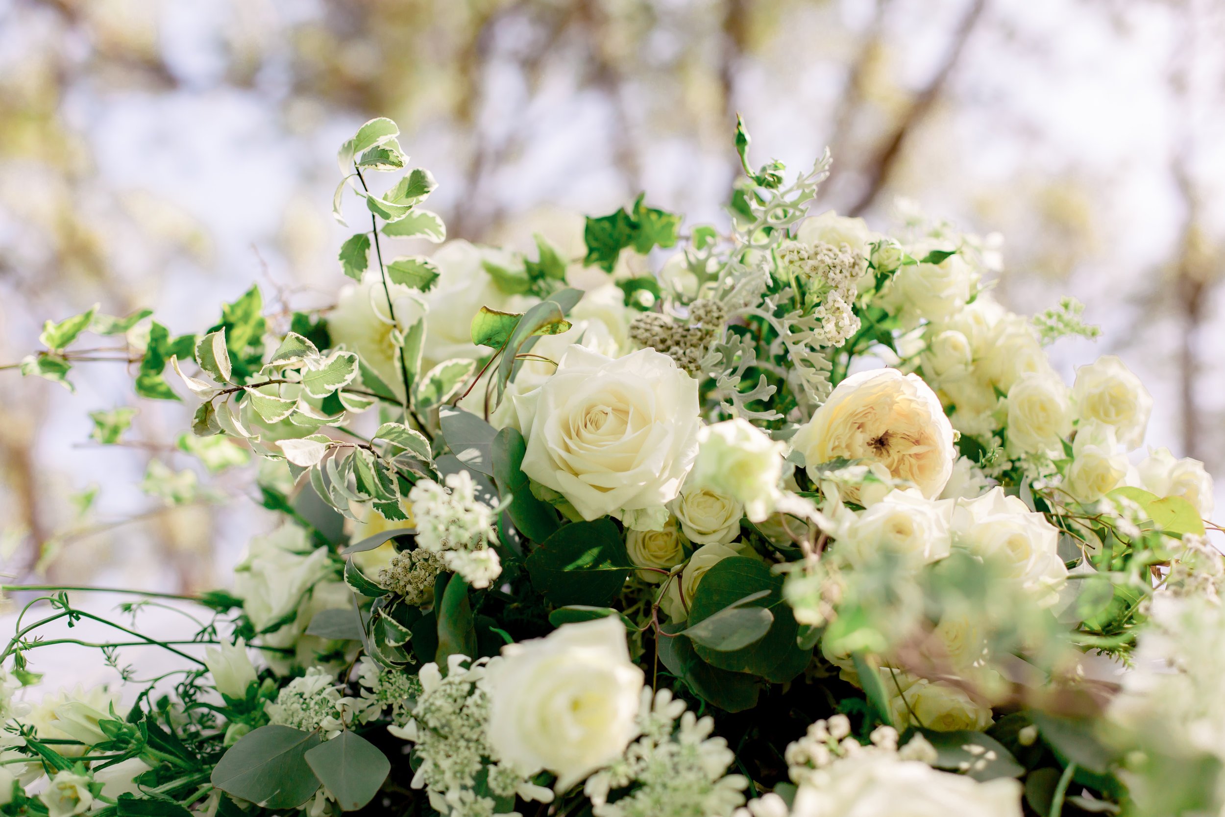 www.santabarbarawedding.com | Rewind Photography | Riviera Mansion | Alegria by Design | Margaret Joan Florals | White Flower Arrangement